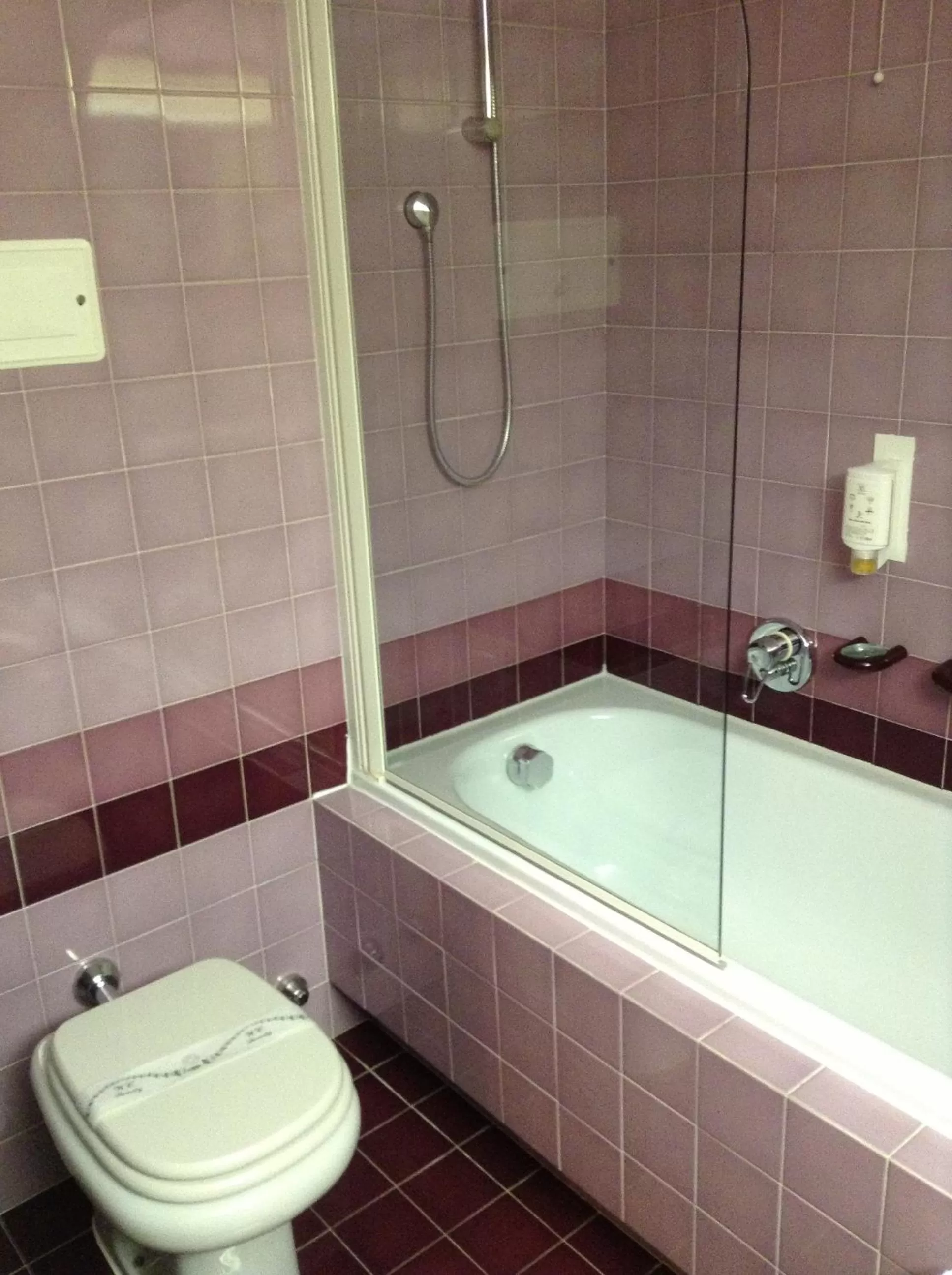 Toilet in Hotel Maxim