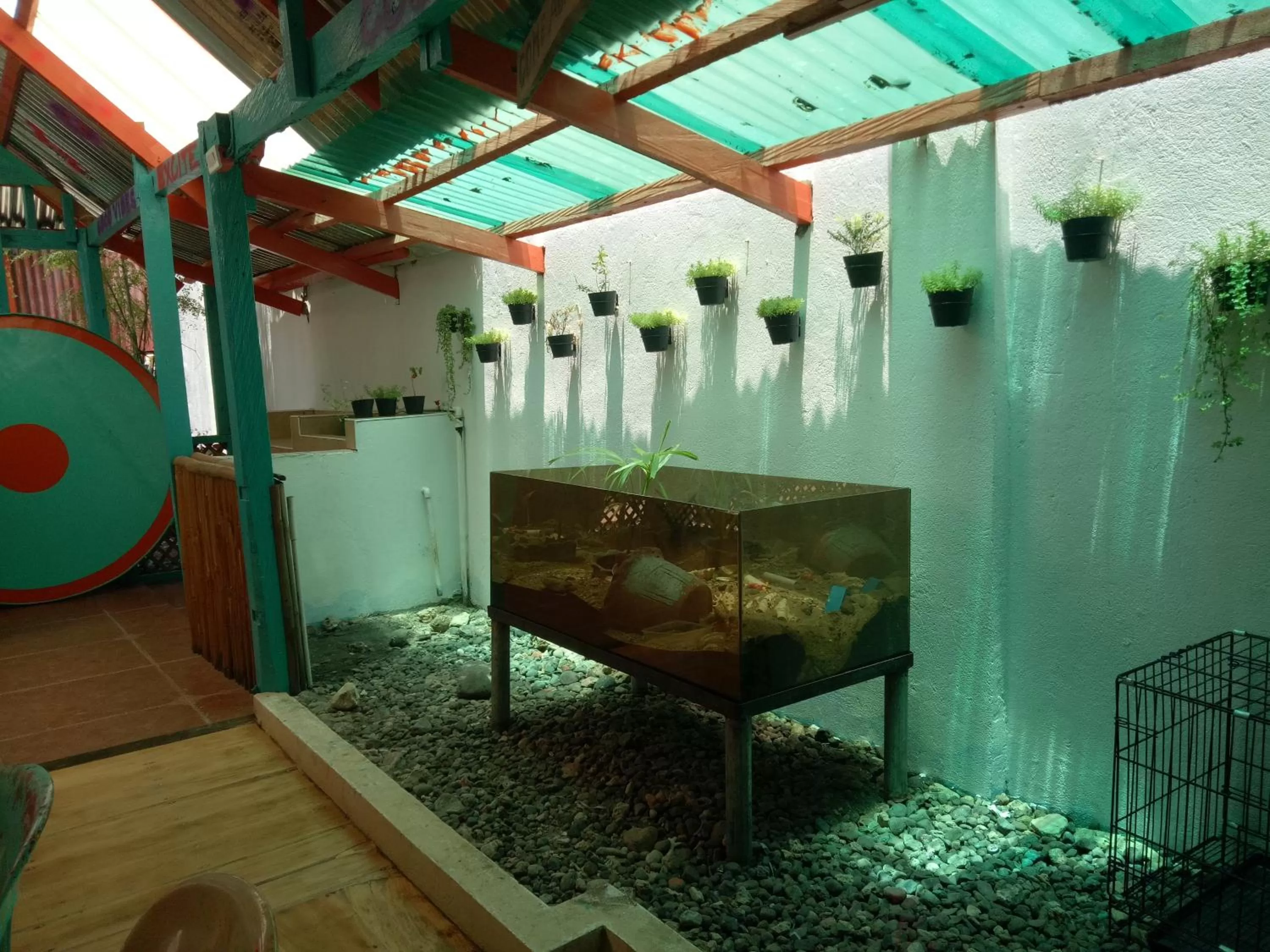 Property building in SmallFry's Beach Resort