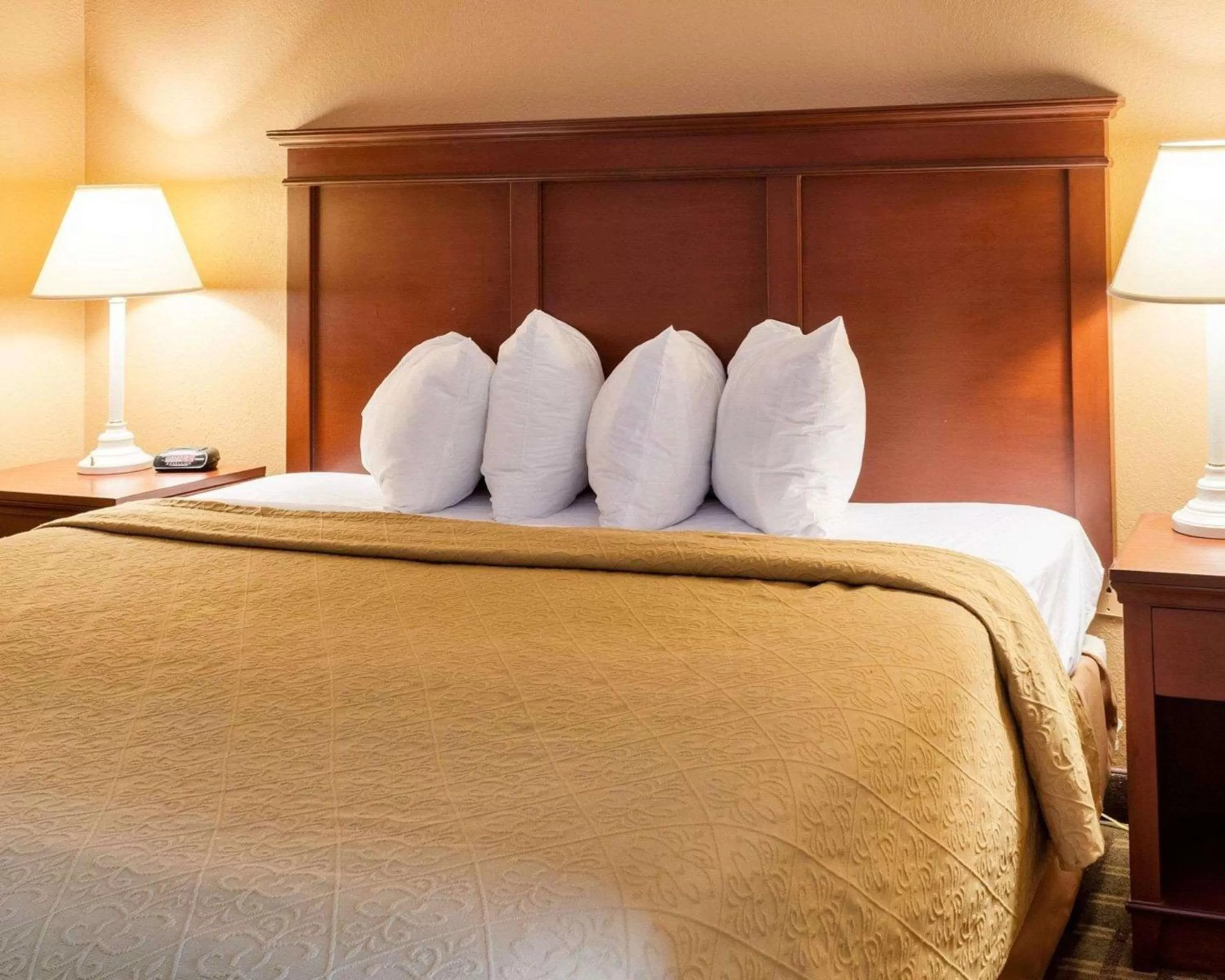 Photo of the whole room, Bed in Quality Inn Louisville MS