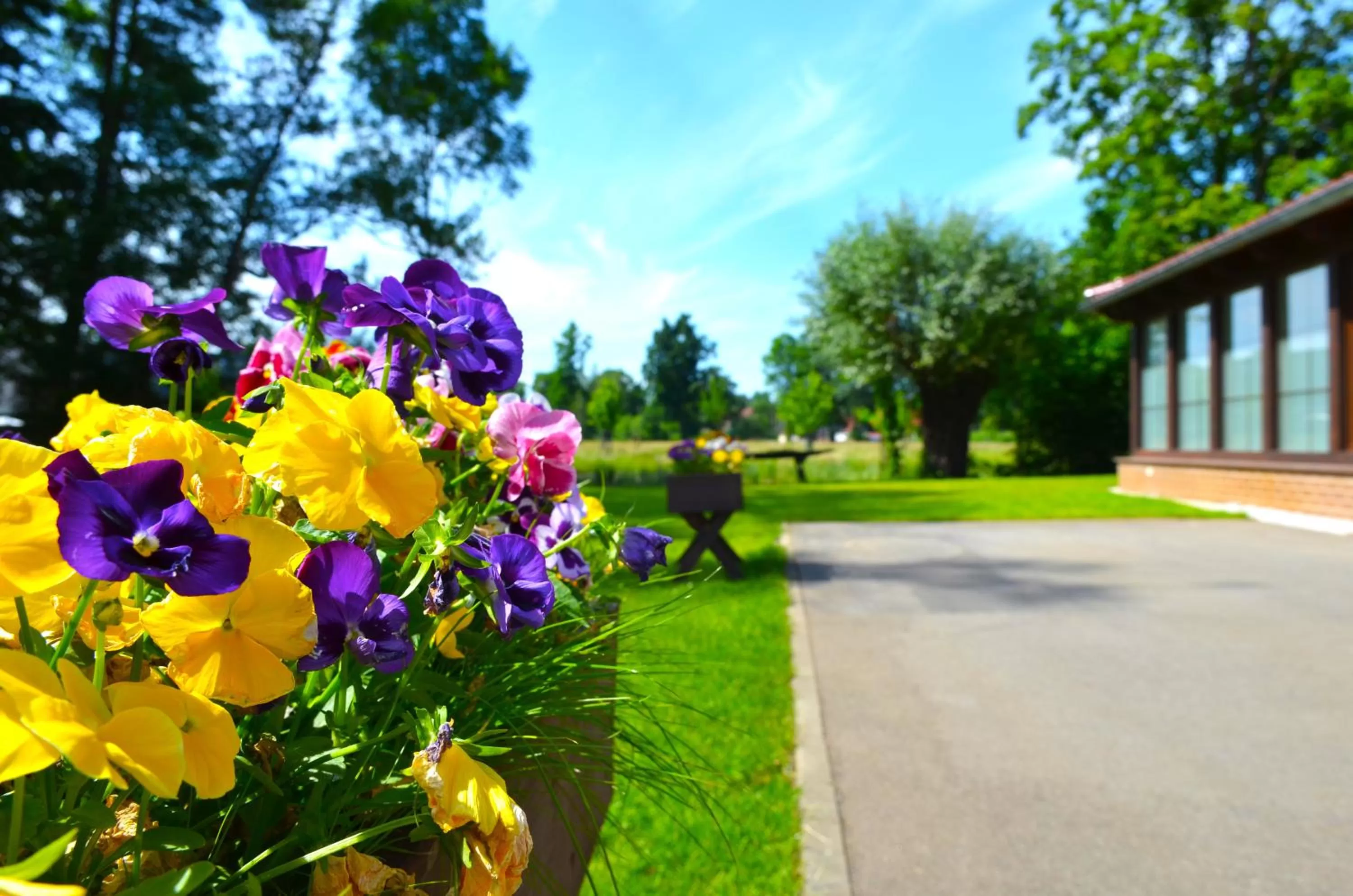 Balcony/Terrace in Logis Hôtel Kur- und Wellnesshaus Spree Balance