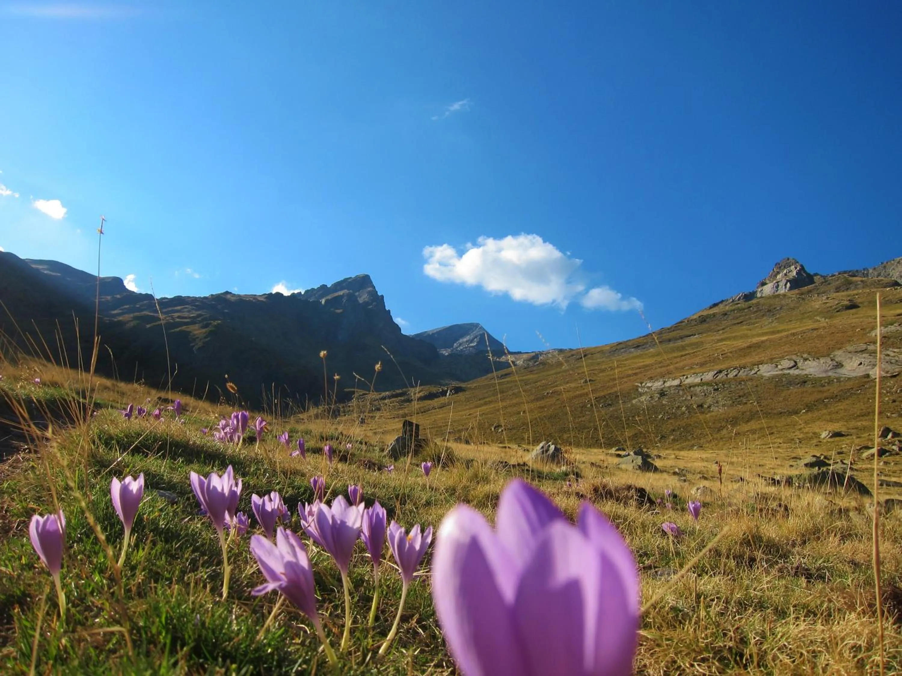 Area and facilities in Hotel Meson de L’Ainsa