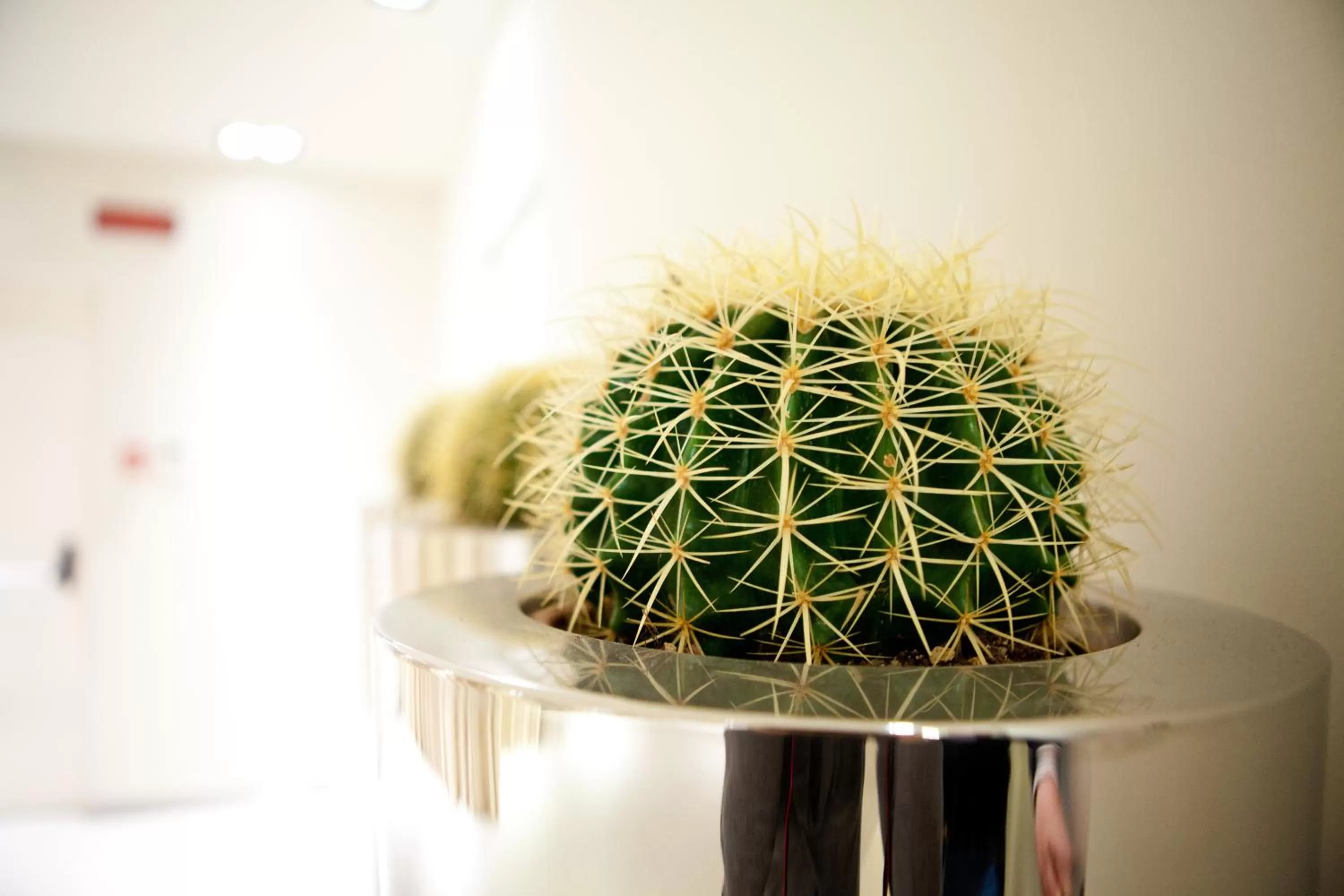 Decorative detail in Albergo Dei Laghi