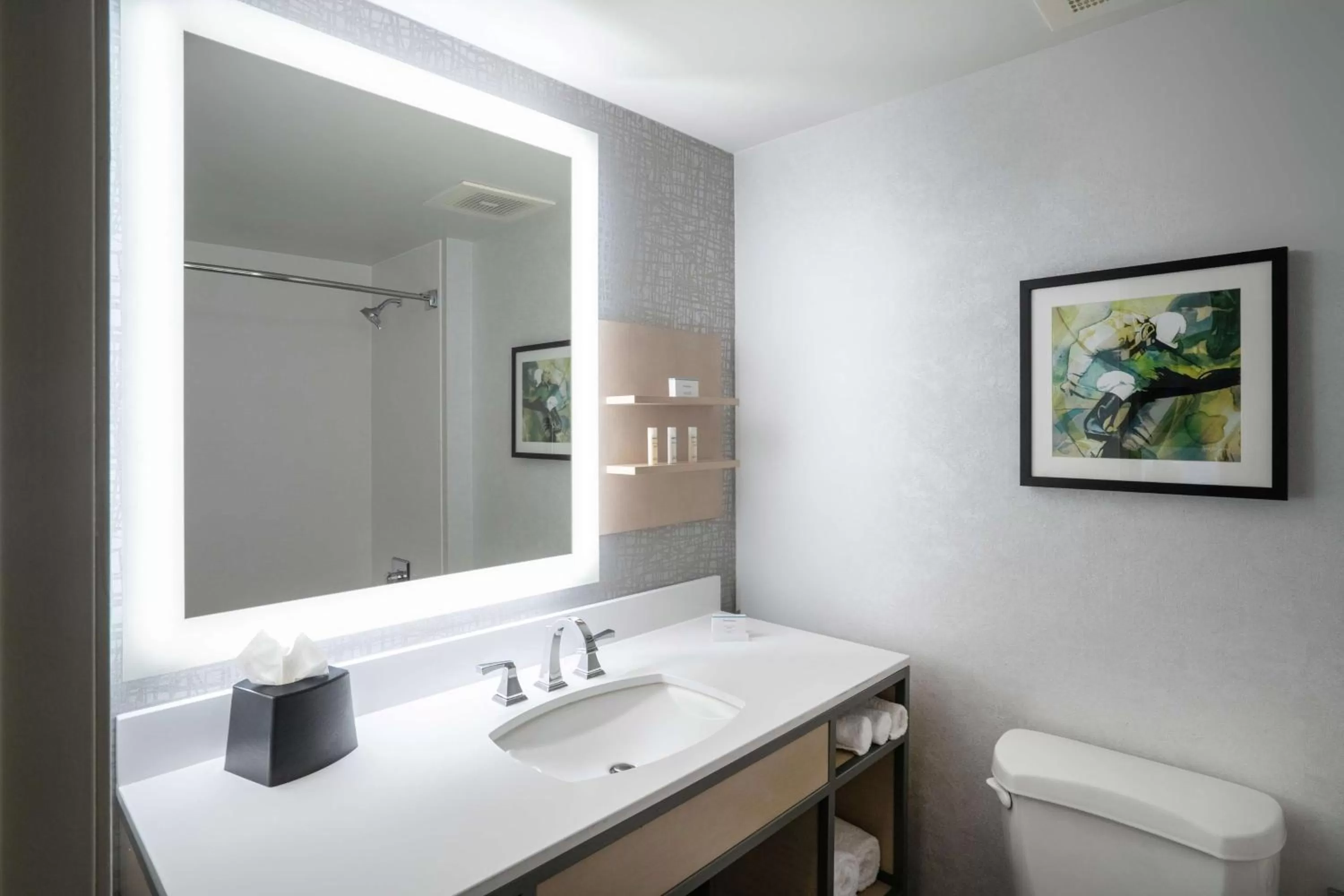 Bathroom in Hilton Garden Inn Louisville East