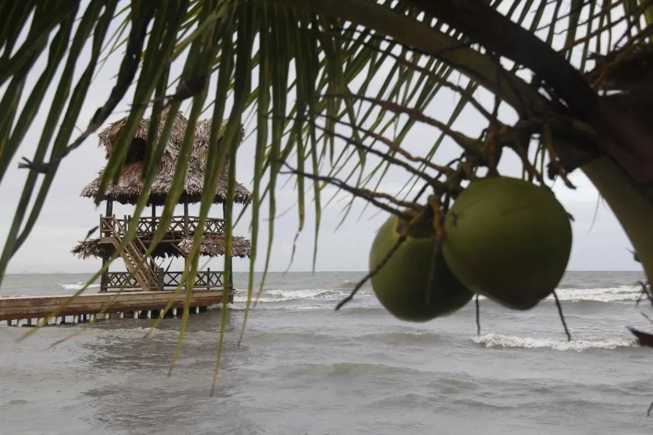 Hotel Salvador Gaviota Hotel Salvador Gaviota