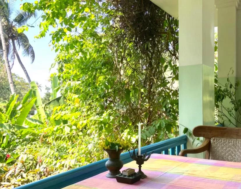 View (from property/room) in Villa Jacaranda