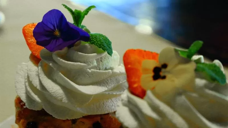 Restaurant/places to eat in Nox Hotel Galway