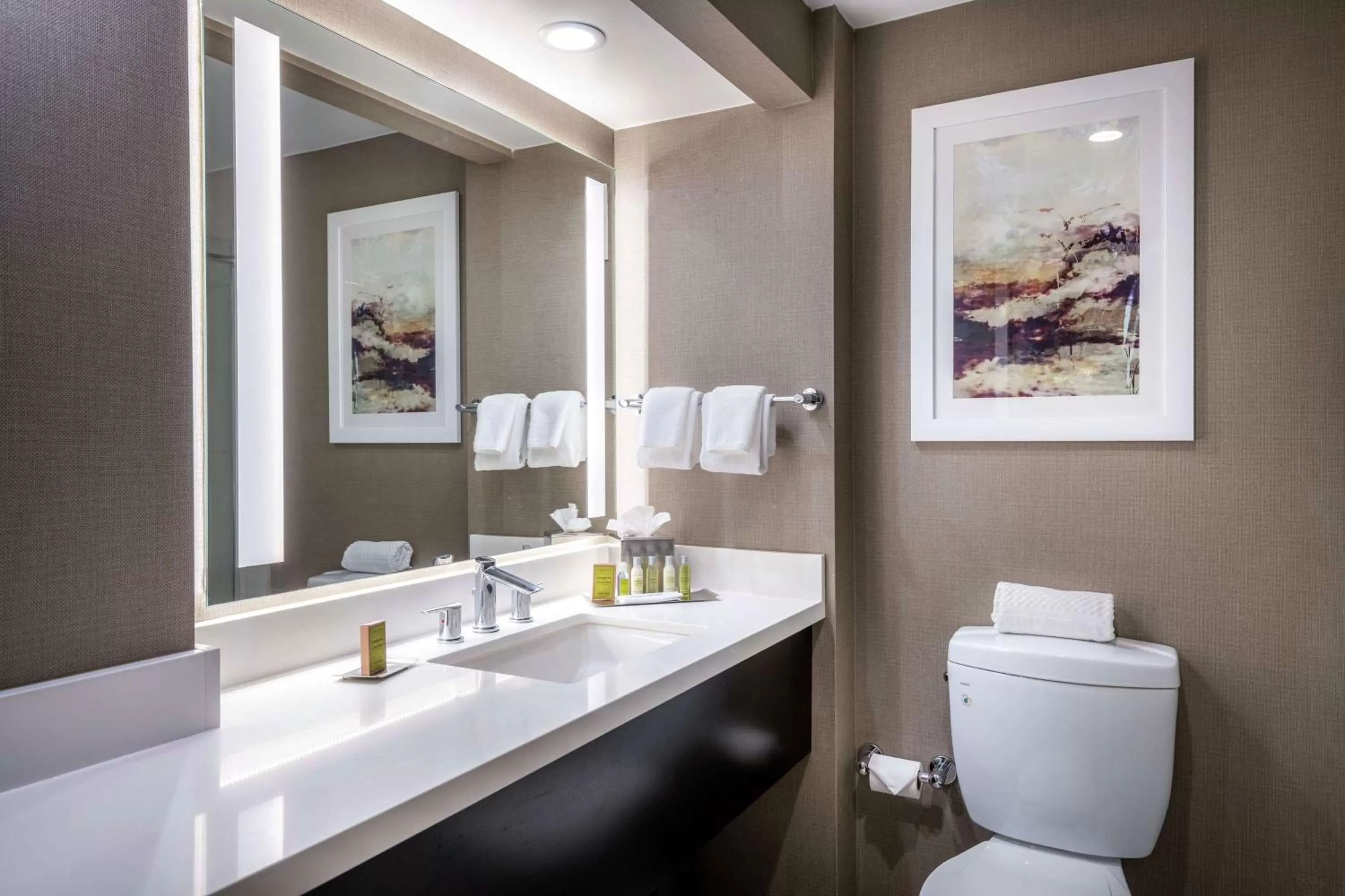 Bathroom in DoubleTree by Hilton Los Angeles Norwalk