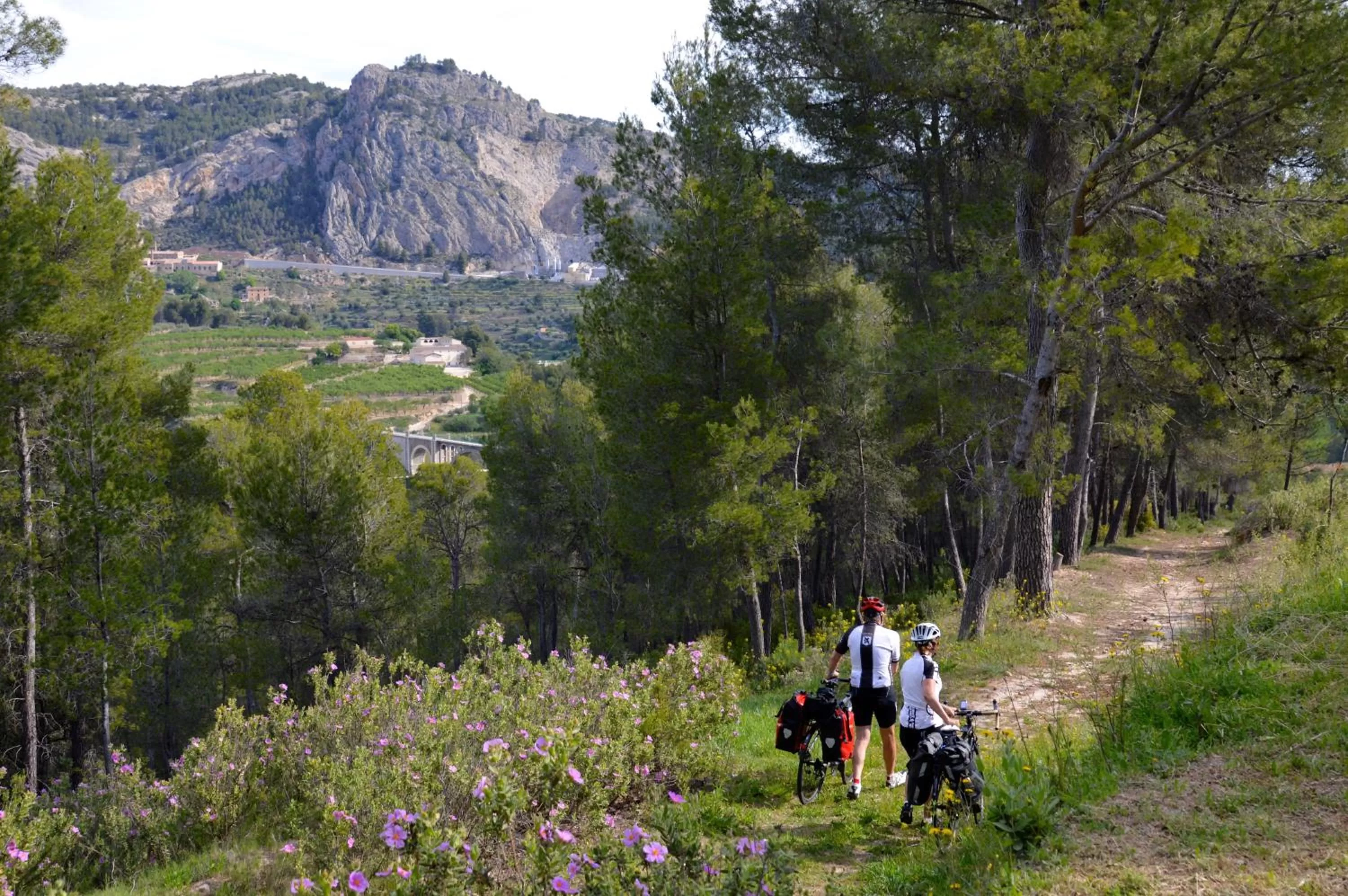 Cycling in Eco Hotel con encanto Masía la Mota B&B