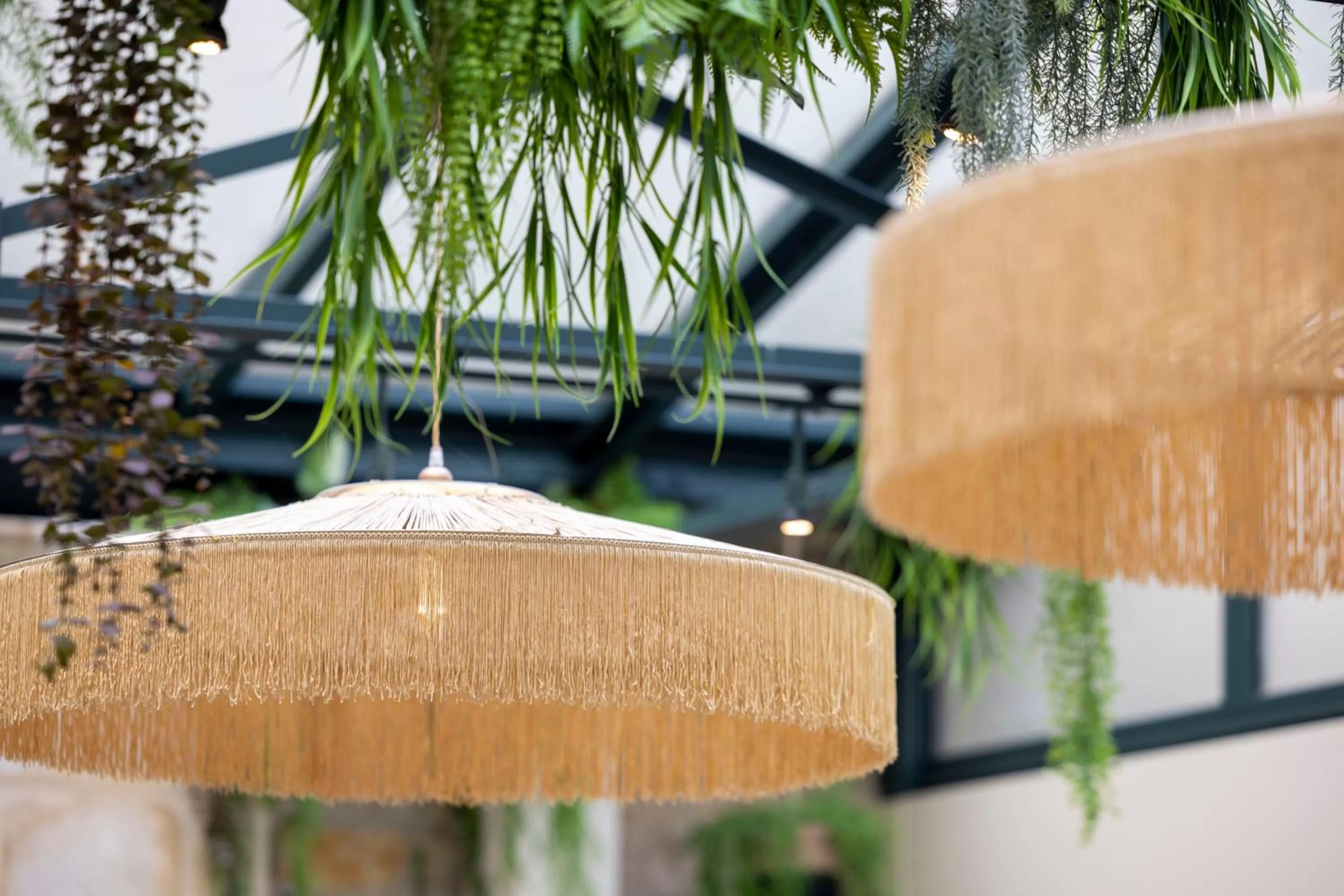 Decorative detail in La Perle Saint Germain des Prés