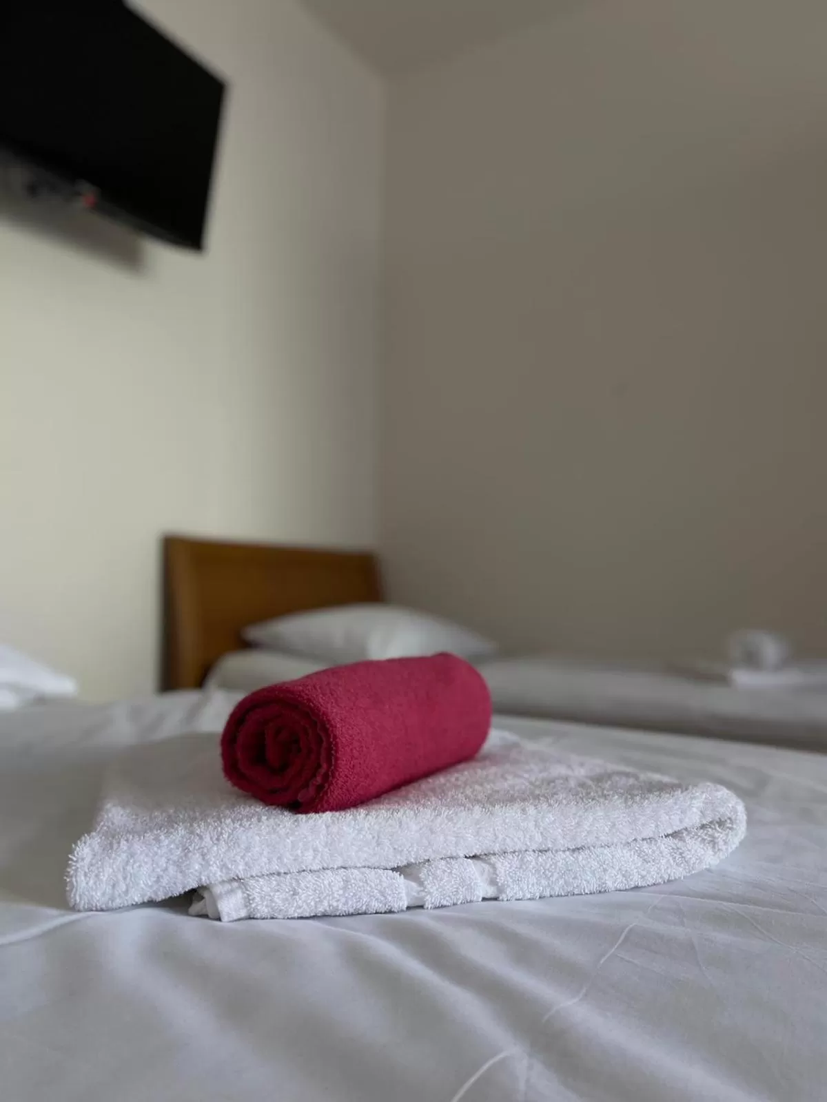 Photo of the whole room, Bed in Spa & Pool Apartment Hotel - Restaurant VILLA IVICA