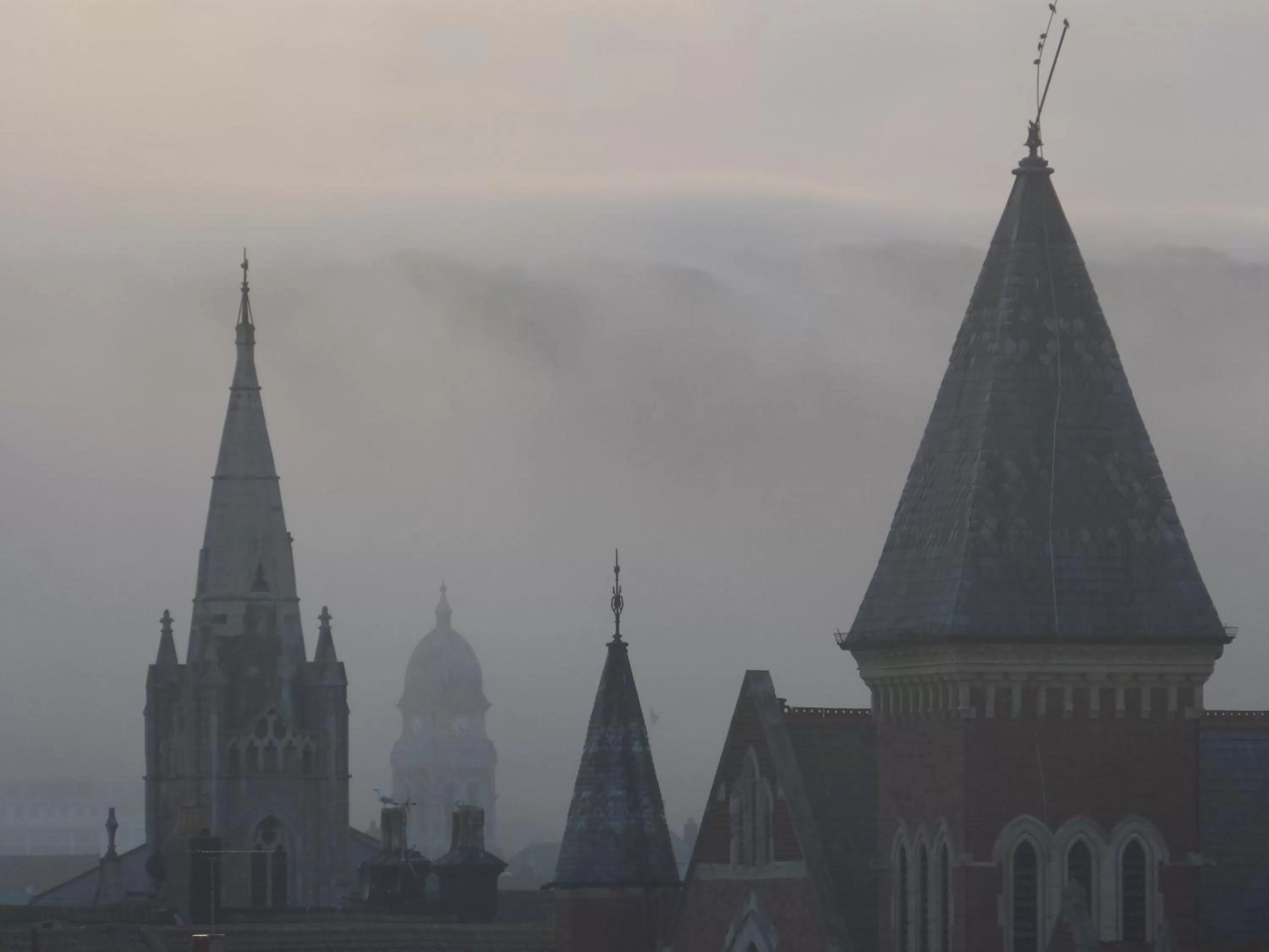 Natural landscape in The Iverna