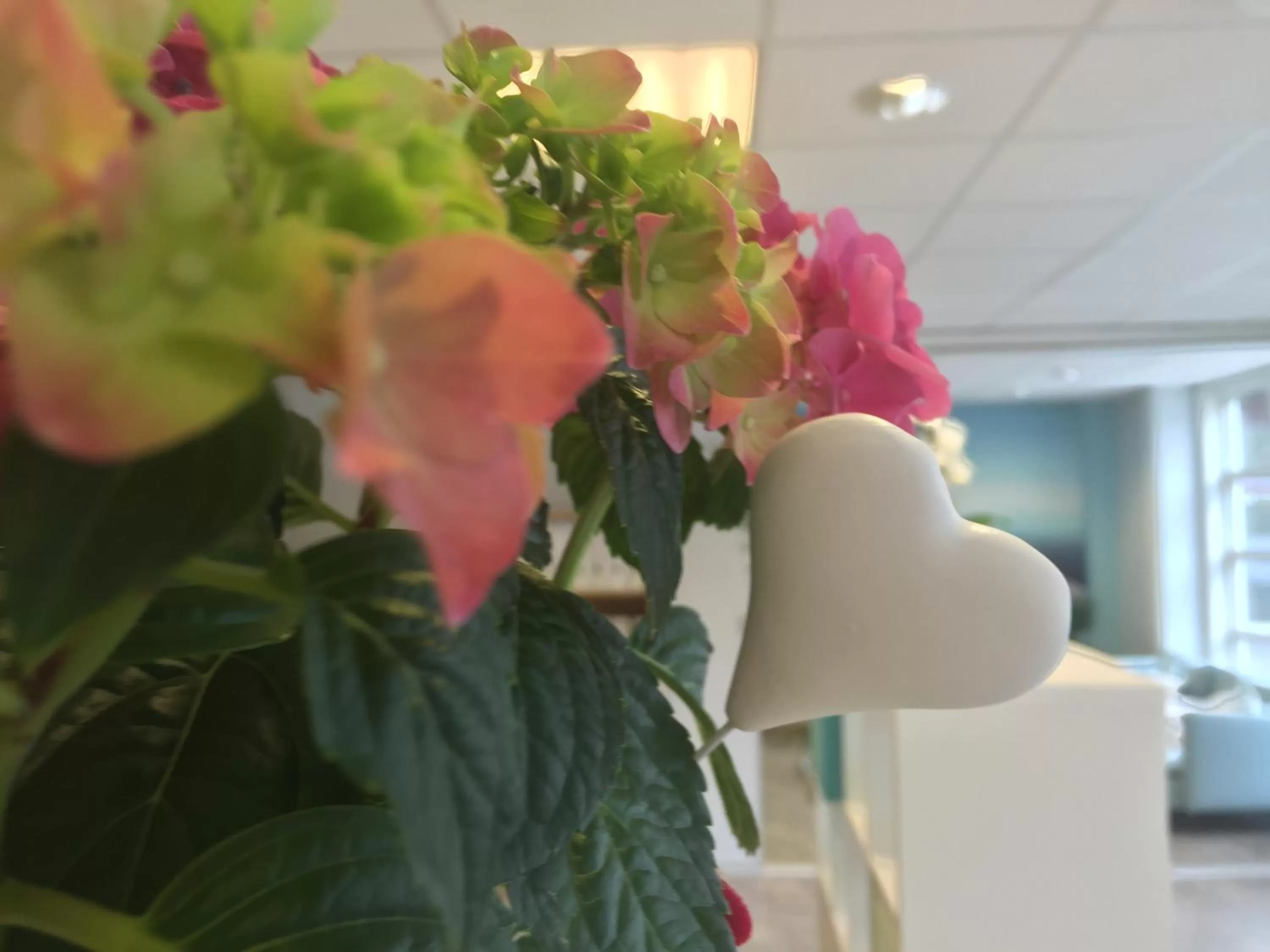 Decorative detail in Kongsvinger Budget Hotel