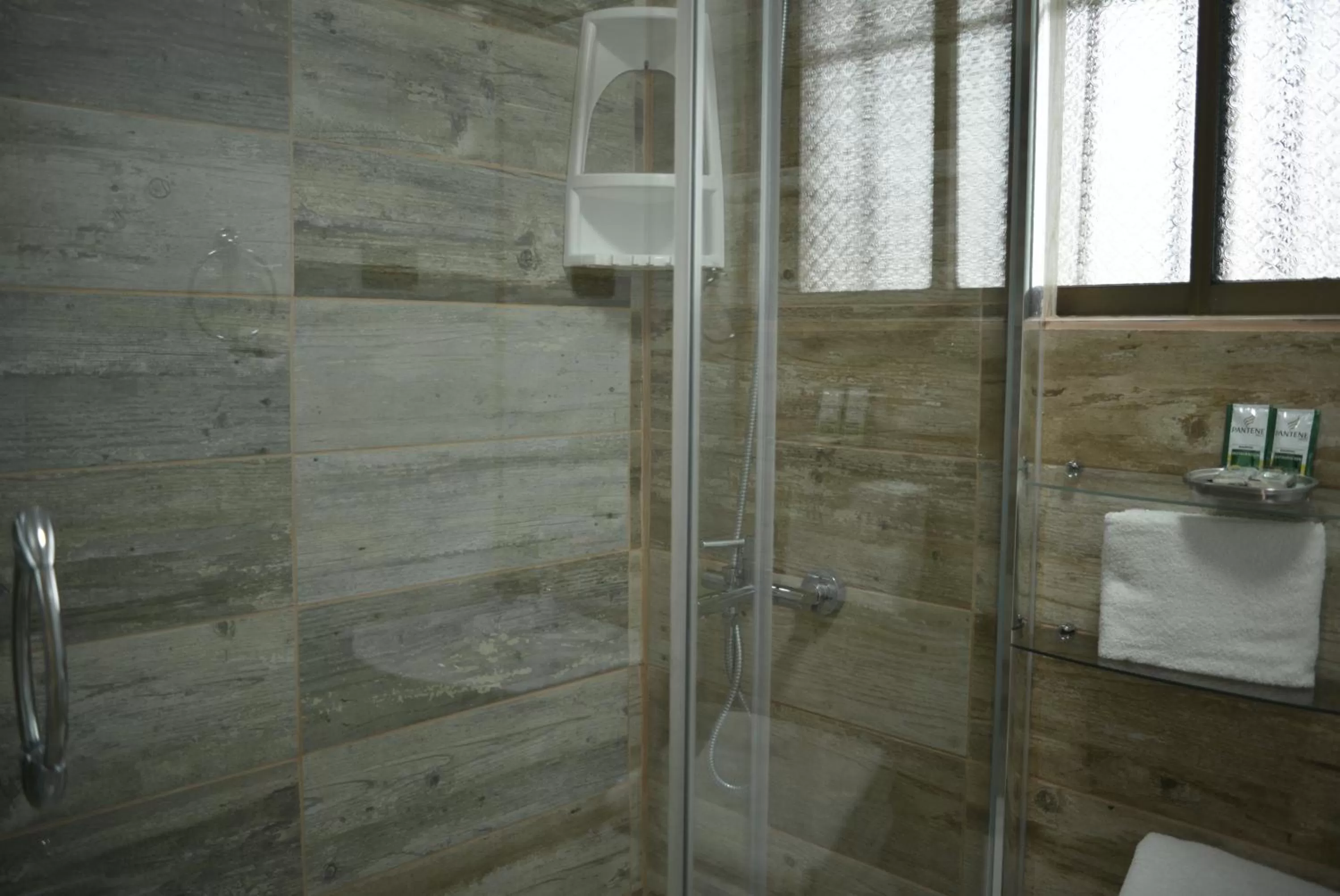 Shower, Bathroom in Hotel La Fuente