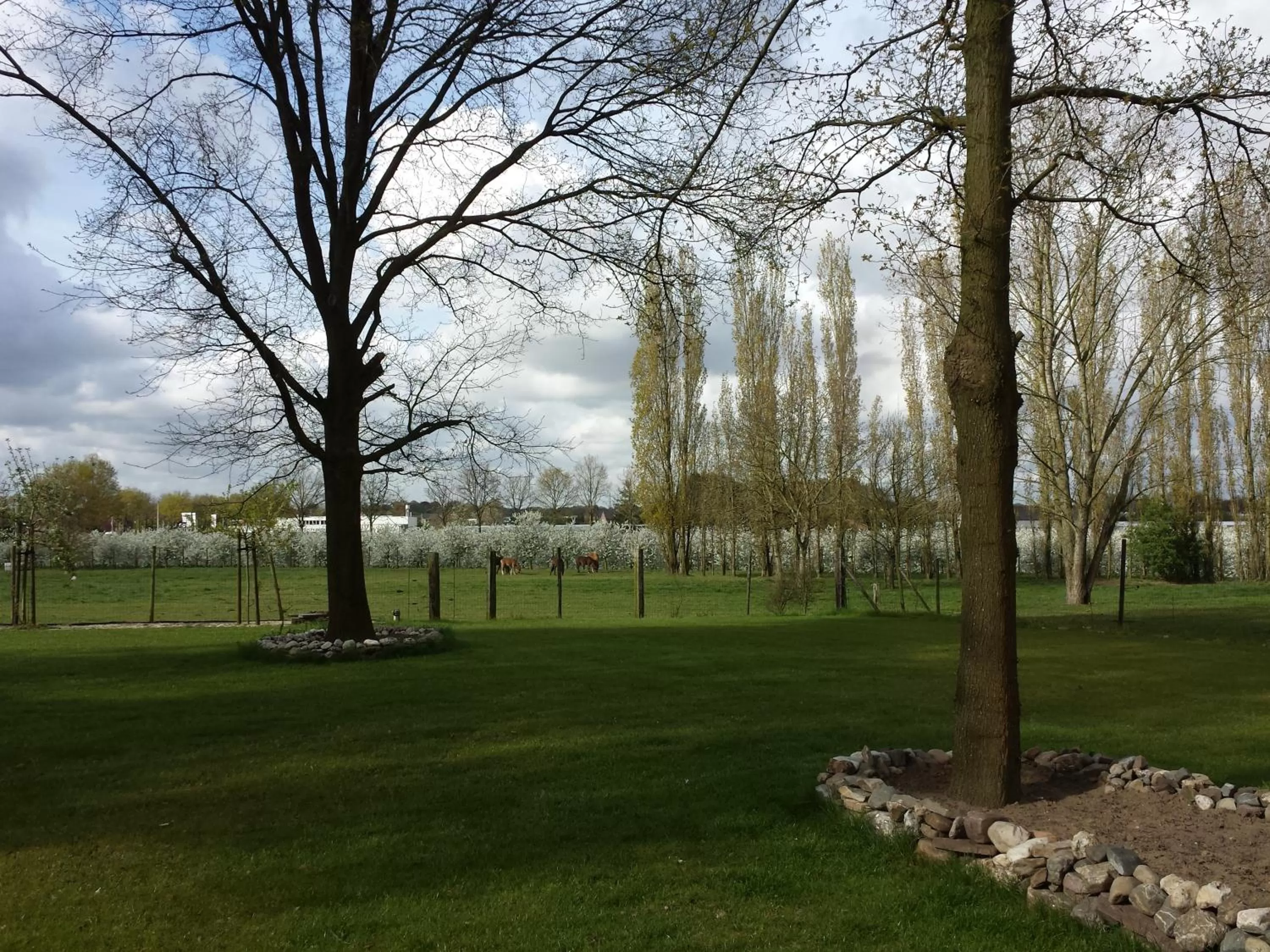 Spring in B&B Johannes-Hoeve