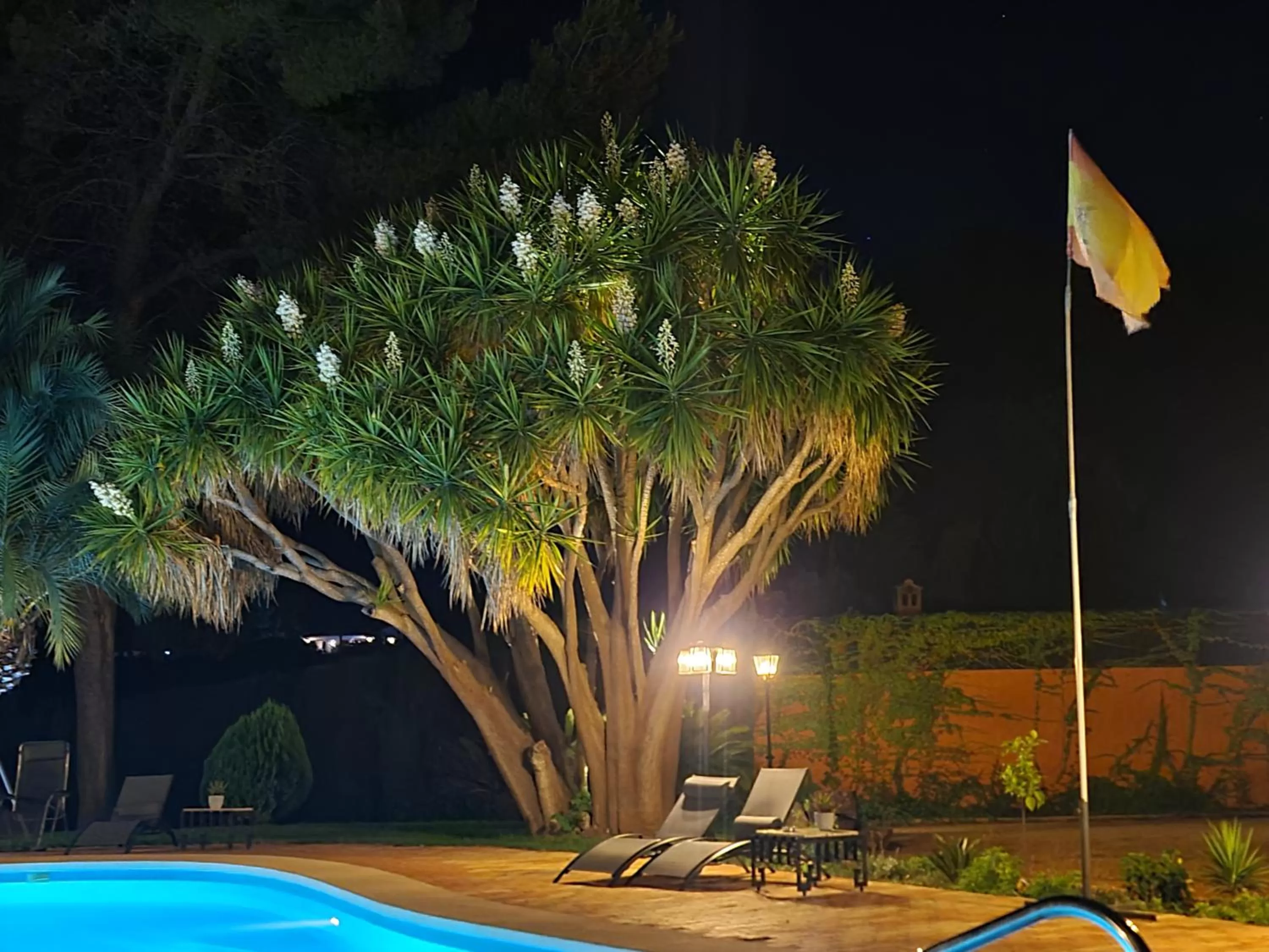 Night, Swimming Pool in Finca la Yuca