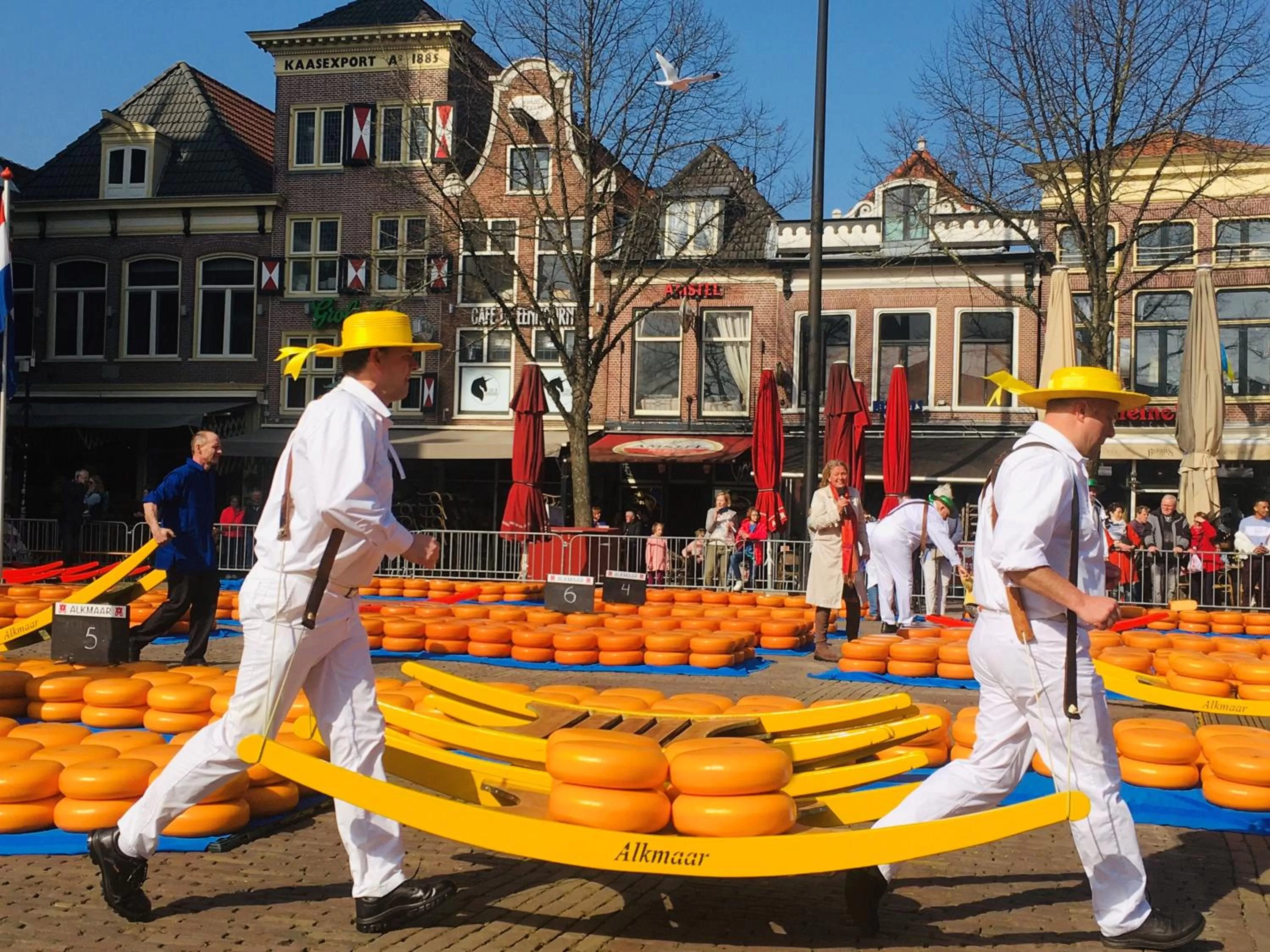 Children in Millsight