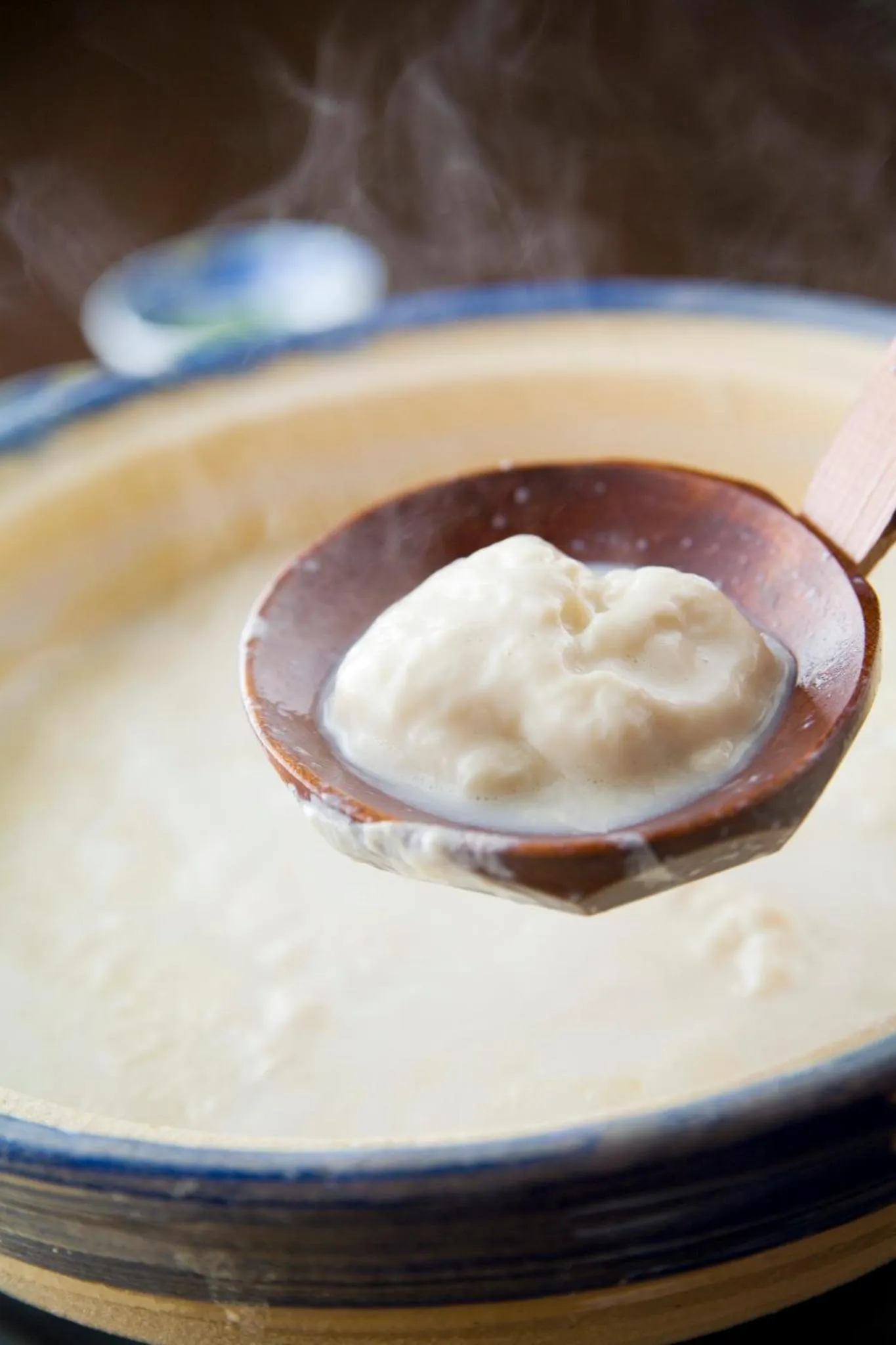 Food close-up in Ryokan Yoshidaya