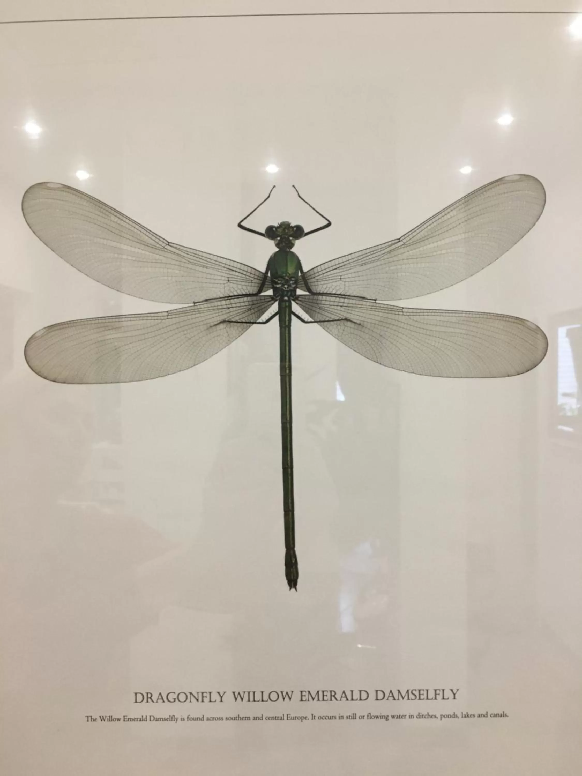 Pokoje w Starej Karczmie - by Upstairs