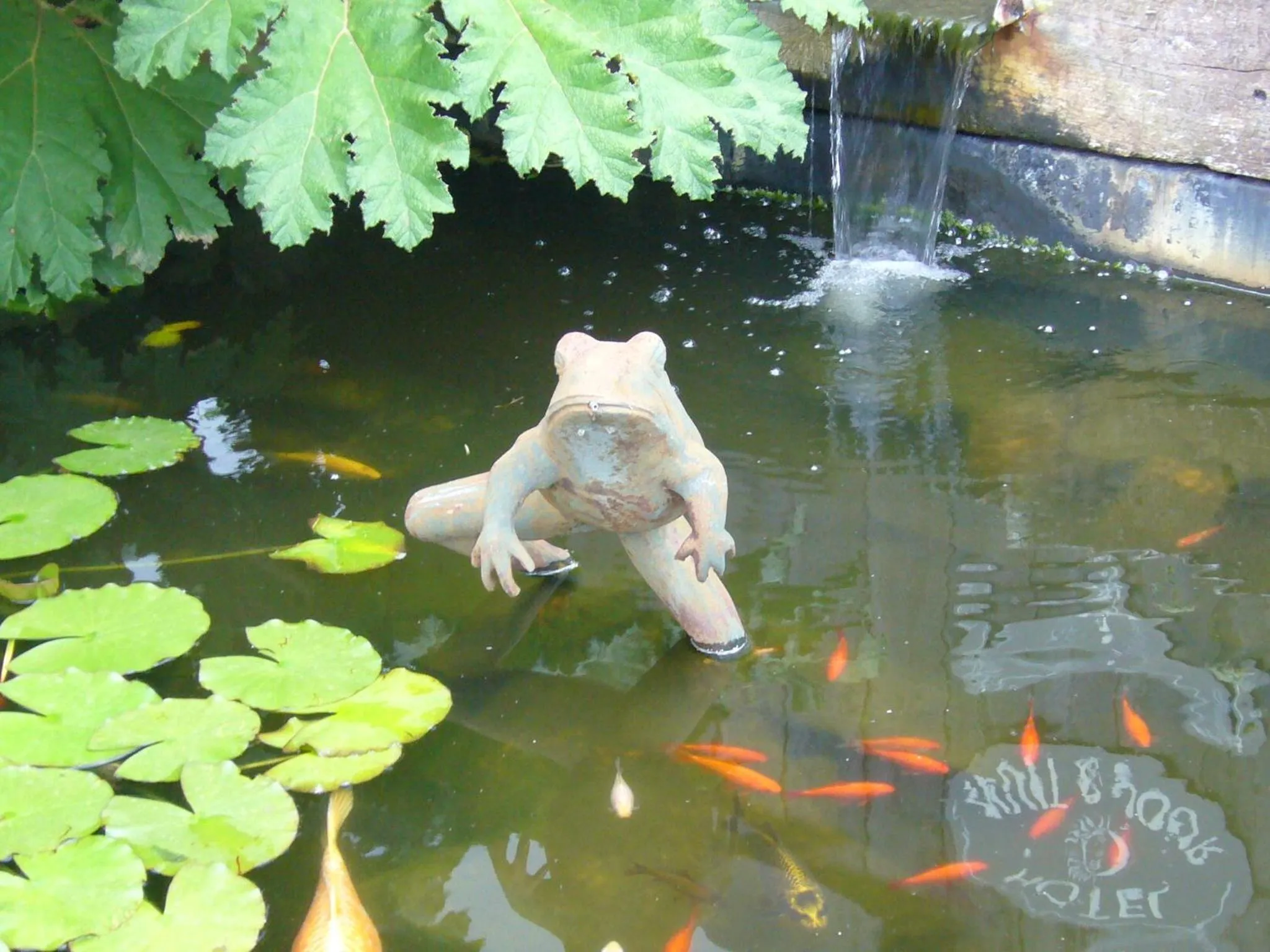 Garden in Hotel Nuit Et Jour - La Maison de Lucile