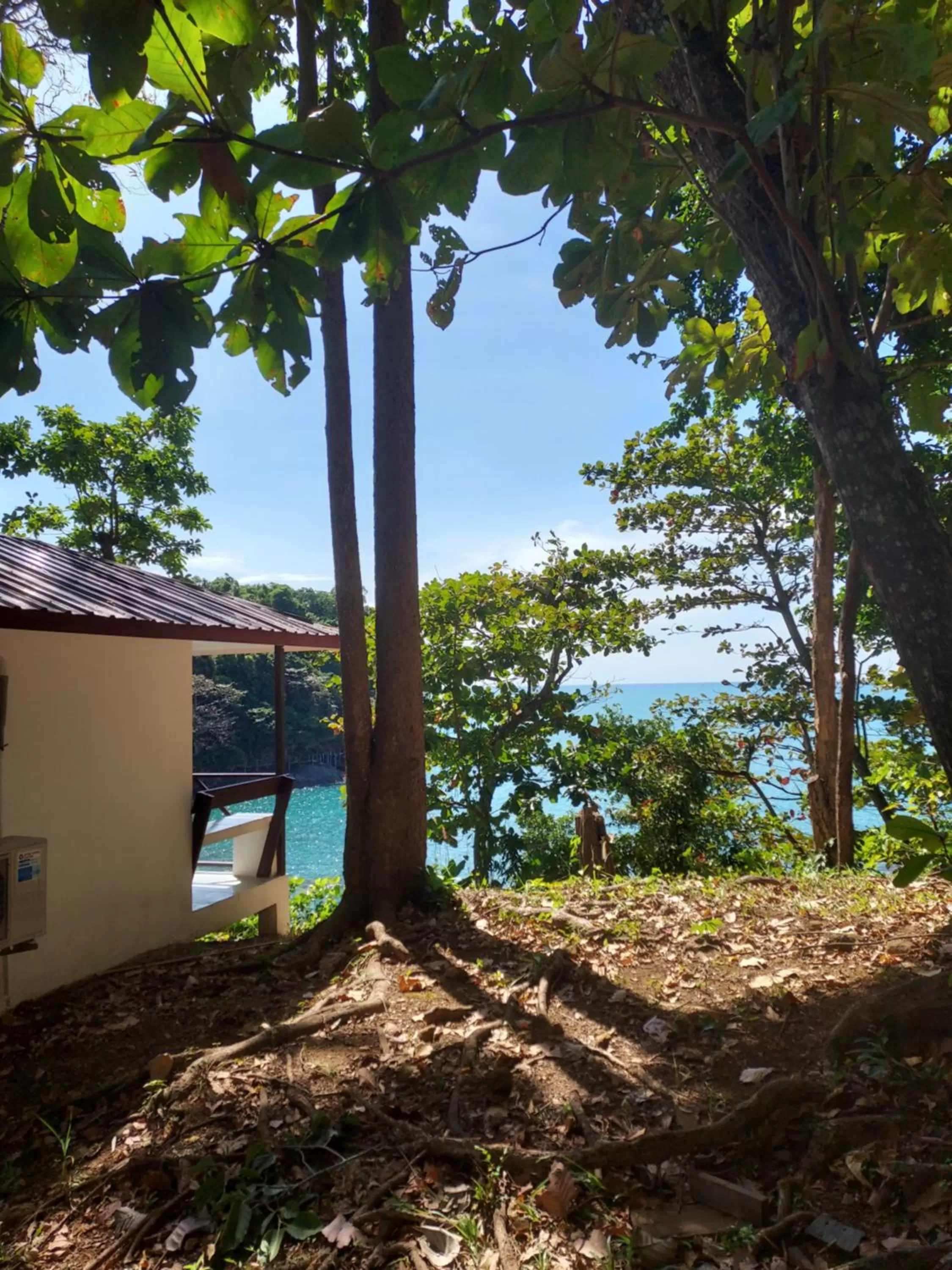 Mountain view in Cliff Cottage