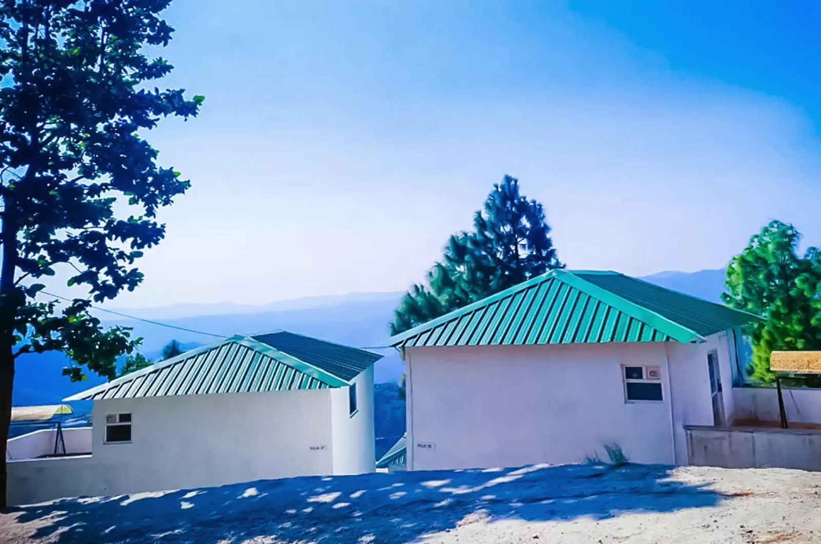 Property building in Blue Pine Orchards