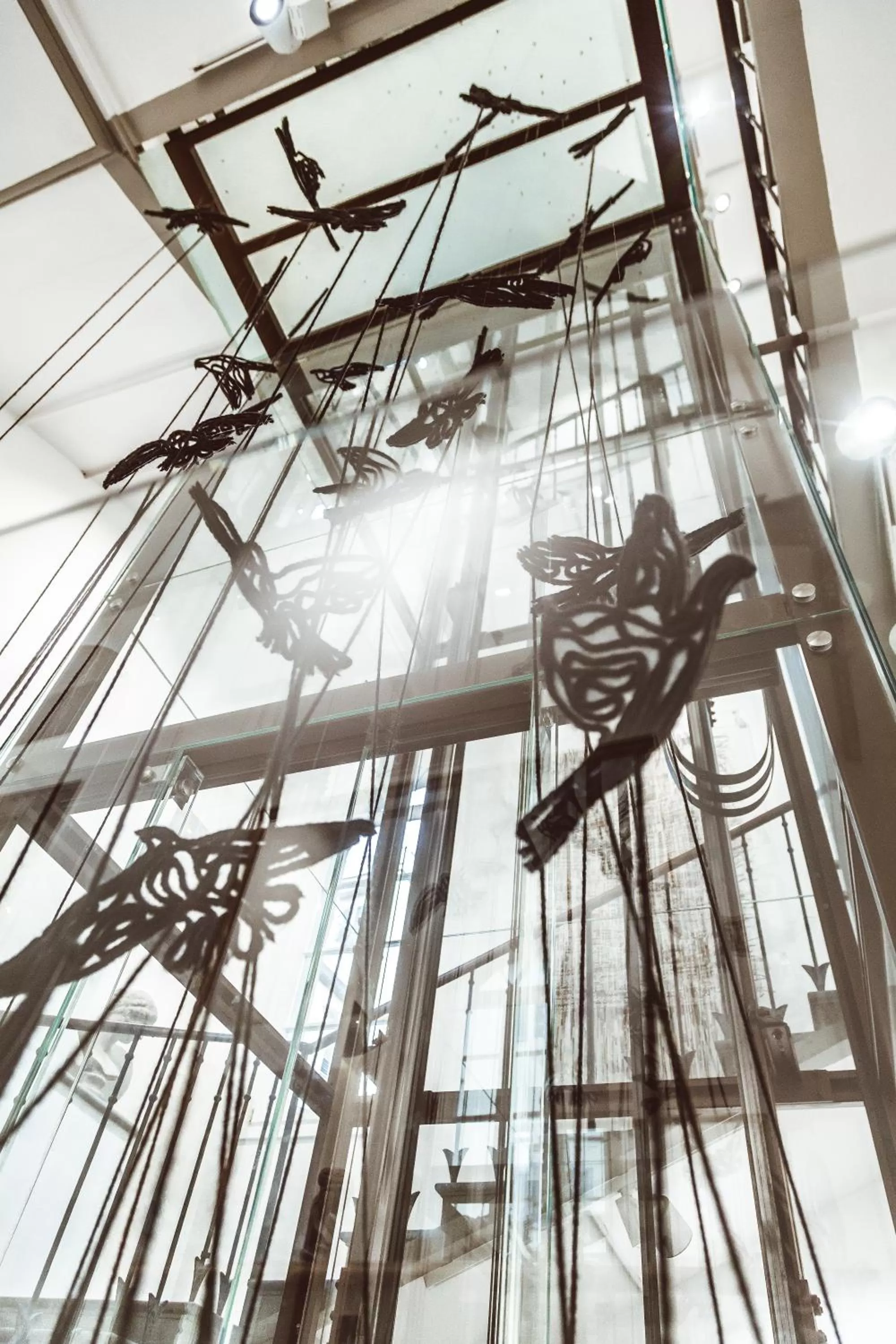 Property building in Hotel Milu Florence