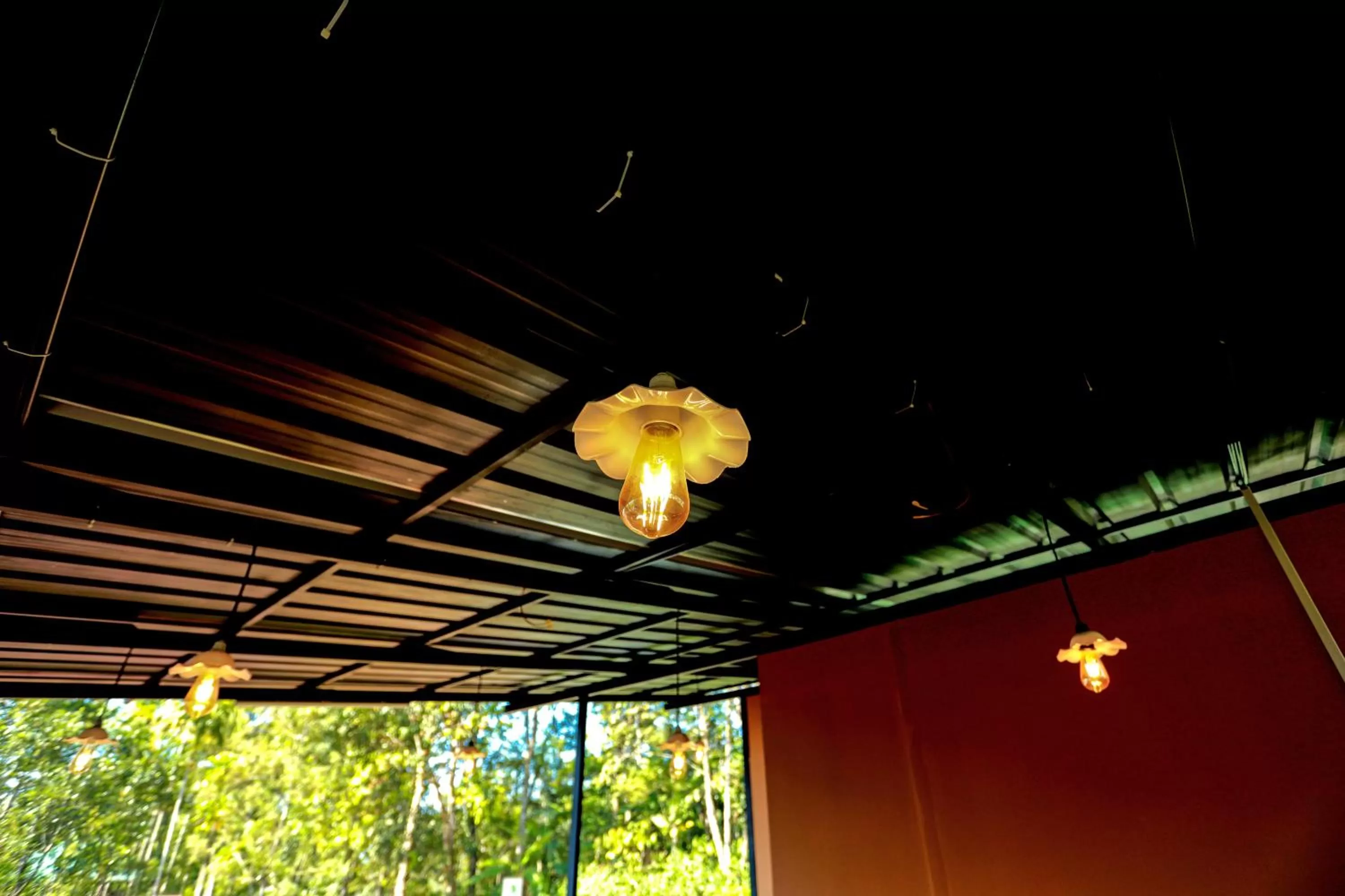 Restaurant/places to eat in Edens Munnar