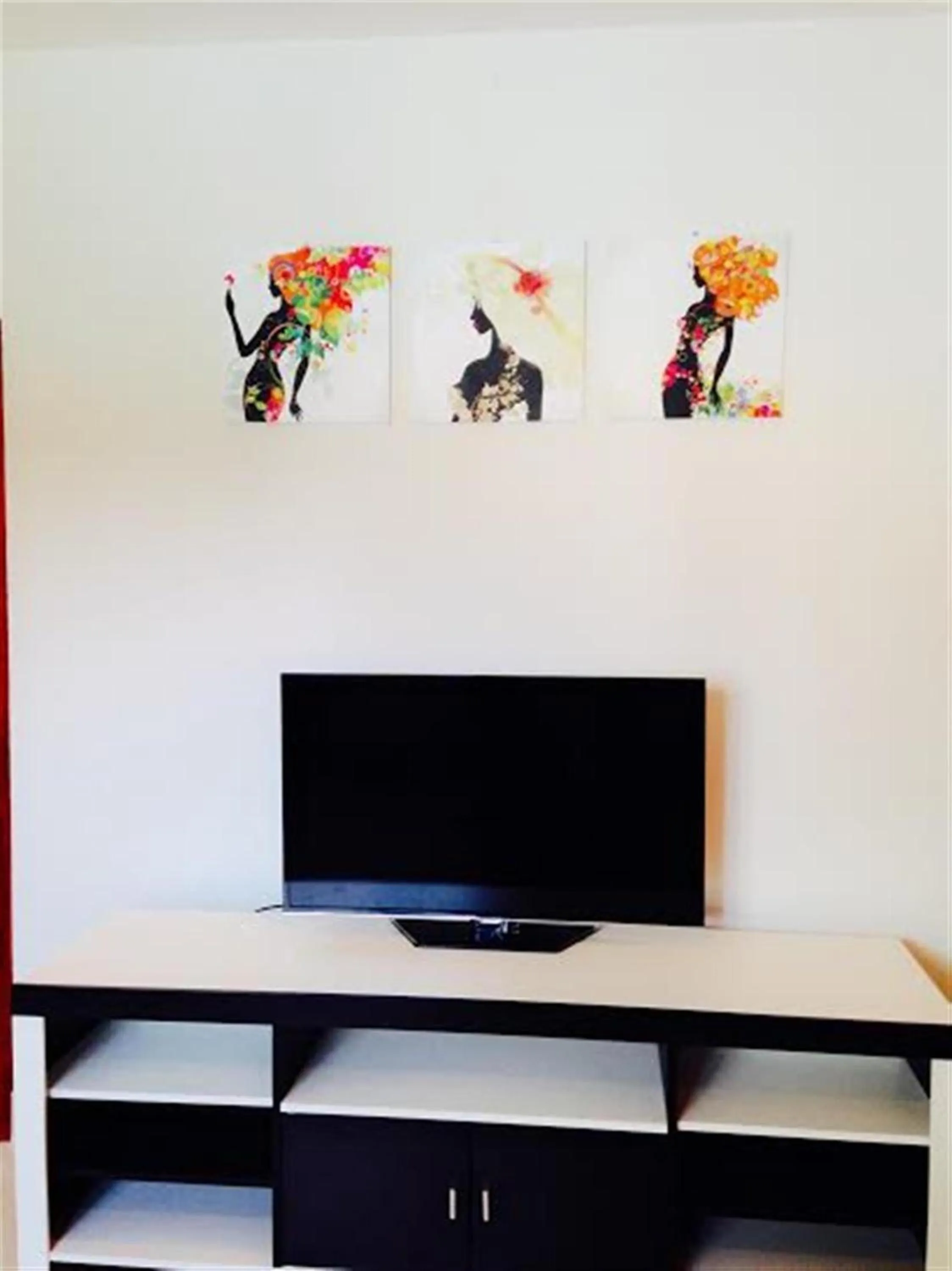 TV and multimedia in Siray House