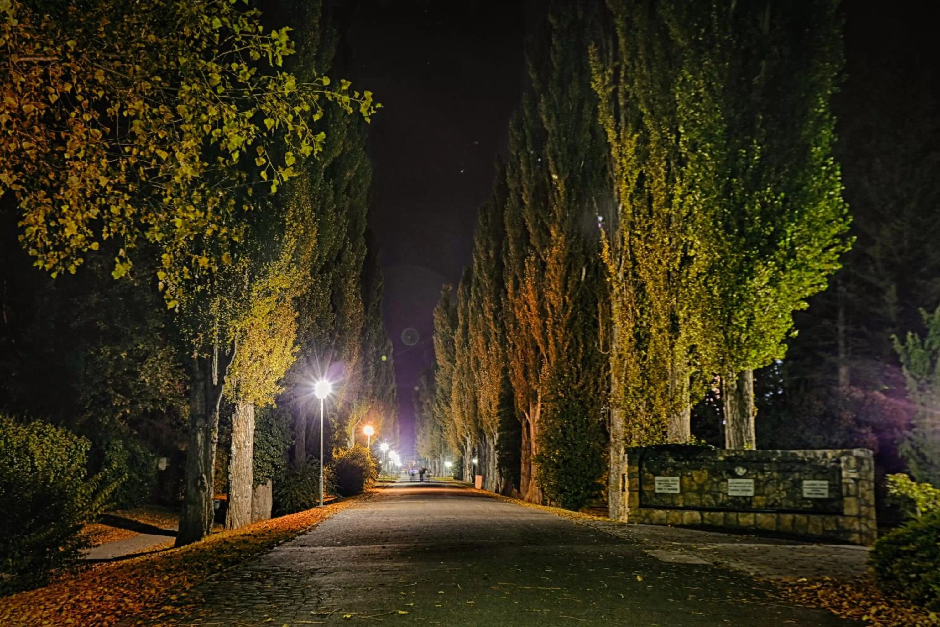 Off site in Ensana Esplanade