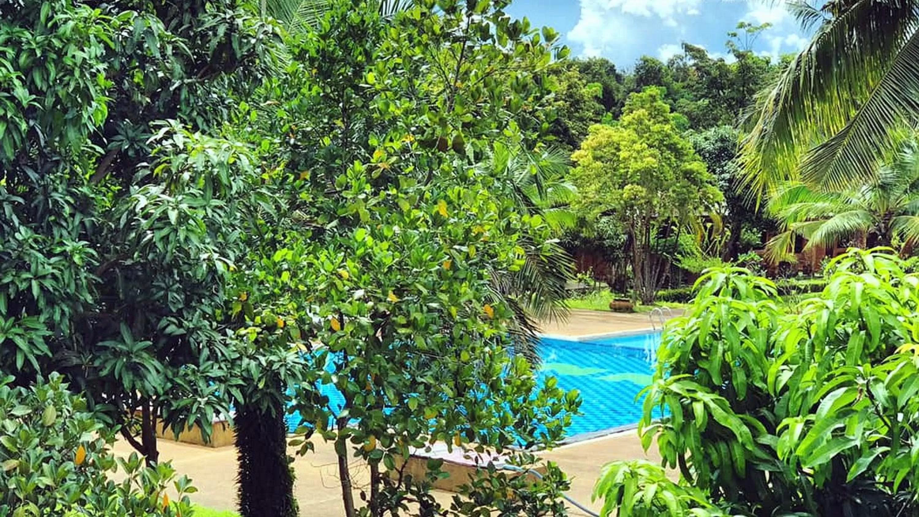 Pool view in Doo Dee Boutique Resort by Swiss Chalet