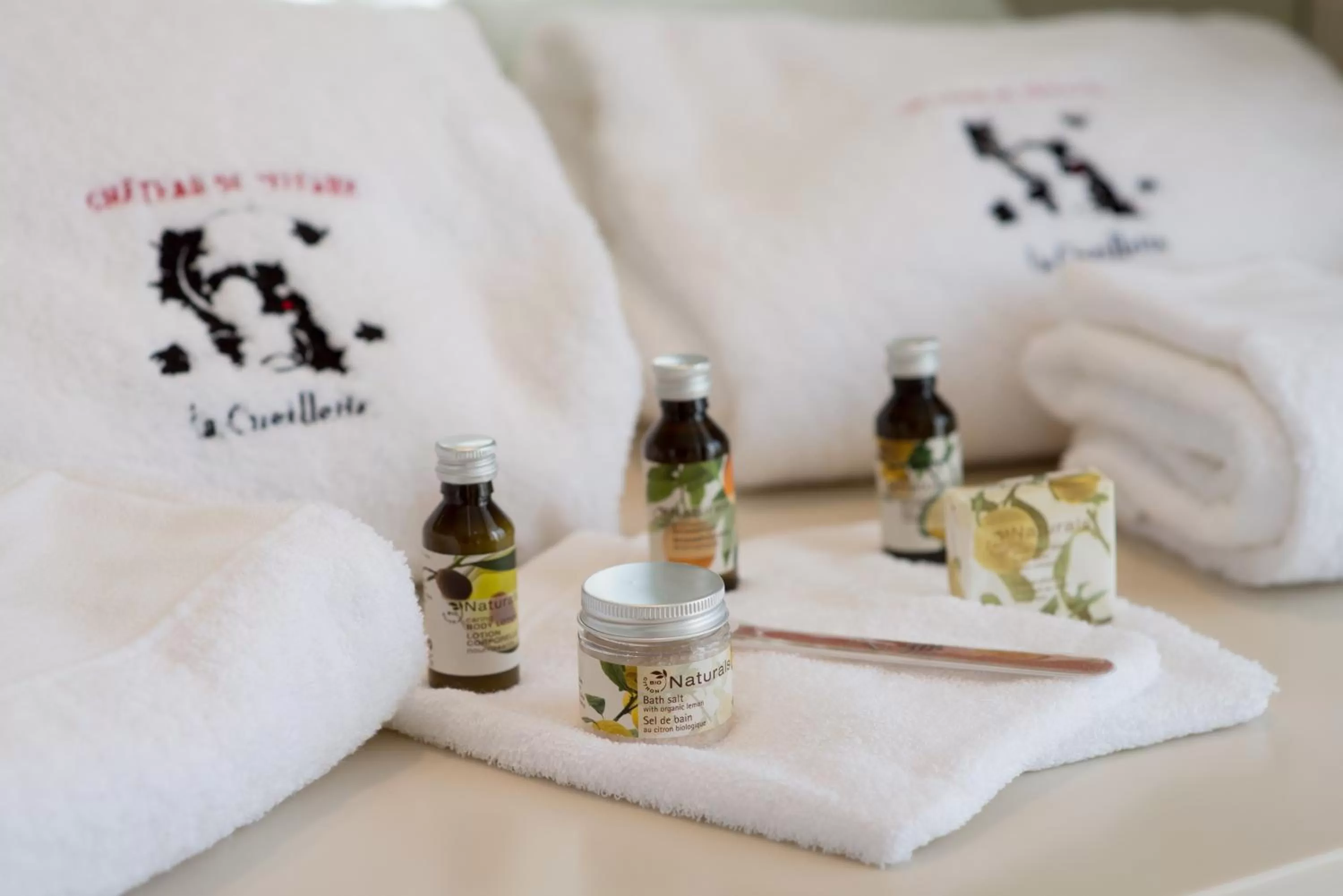 Spa and wellness centre/facilities in Château & Spa de la Cueillette