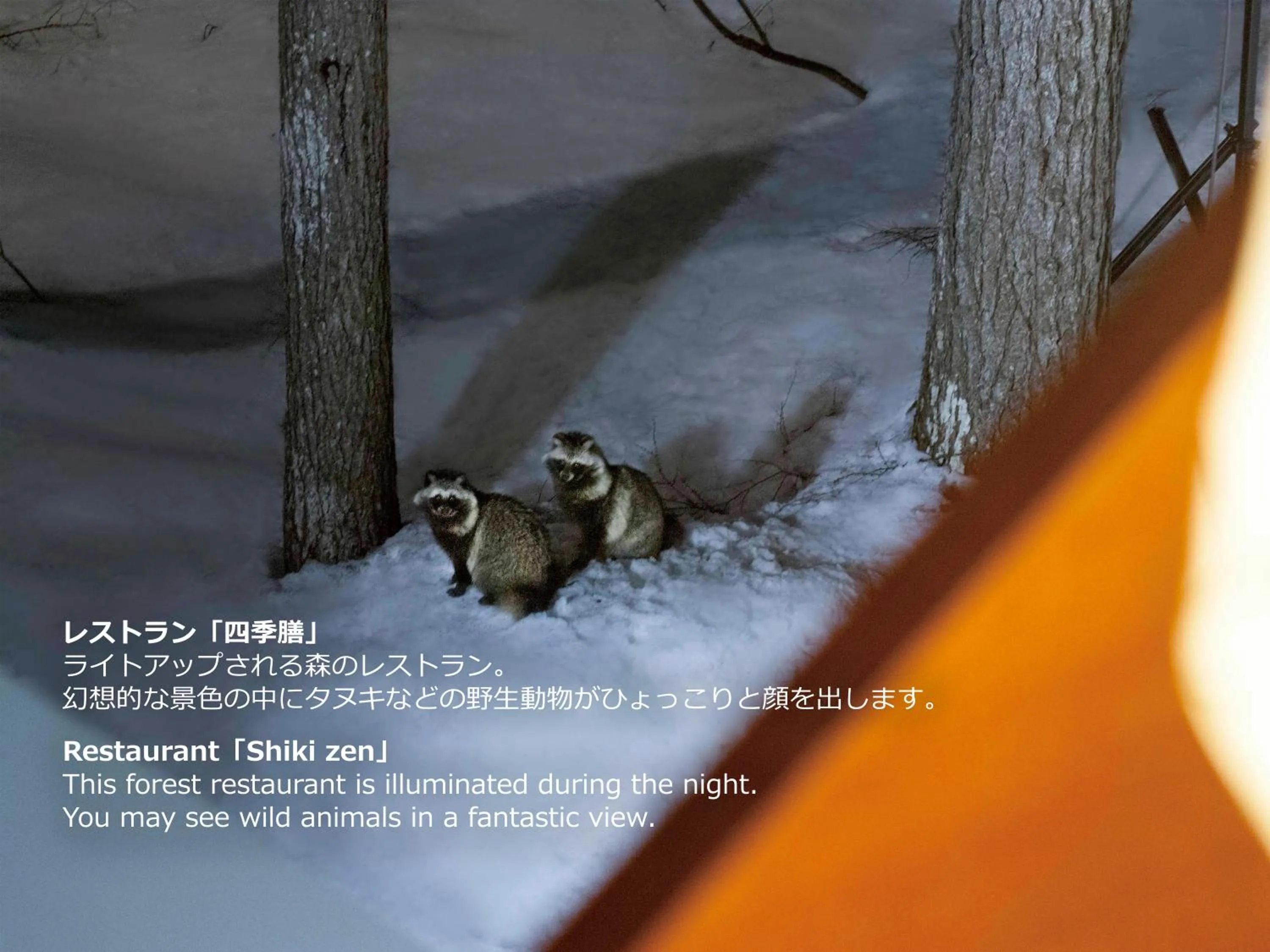 Animals in Hotel Ryu Resort and Spa