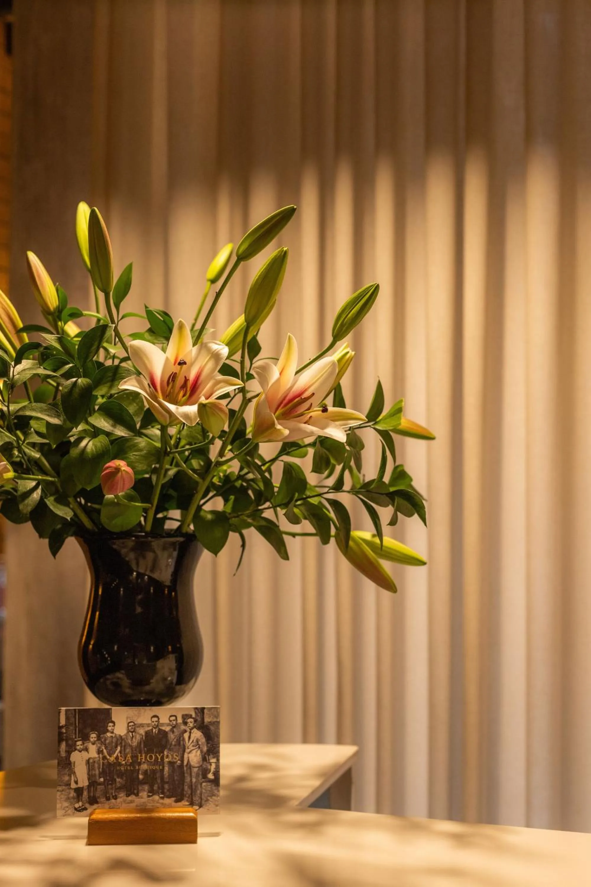 Casa Hoyos - Hotel Boutique