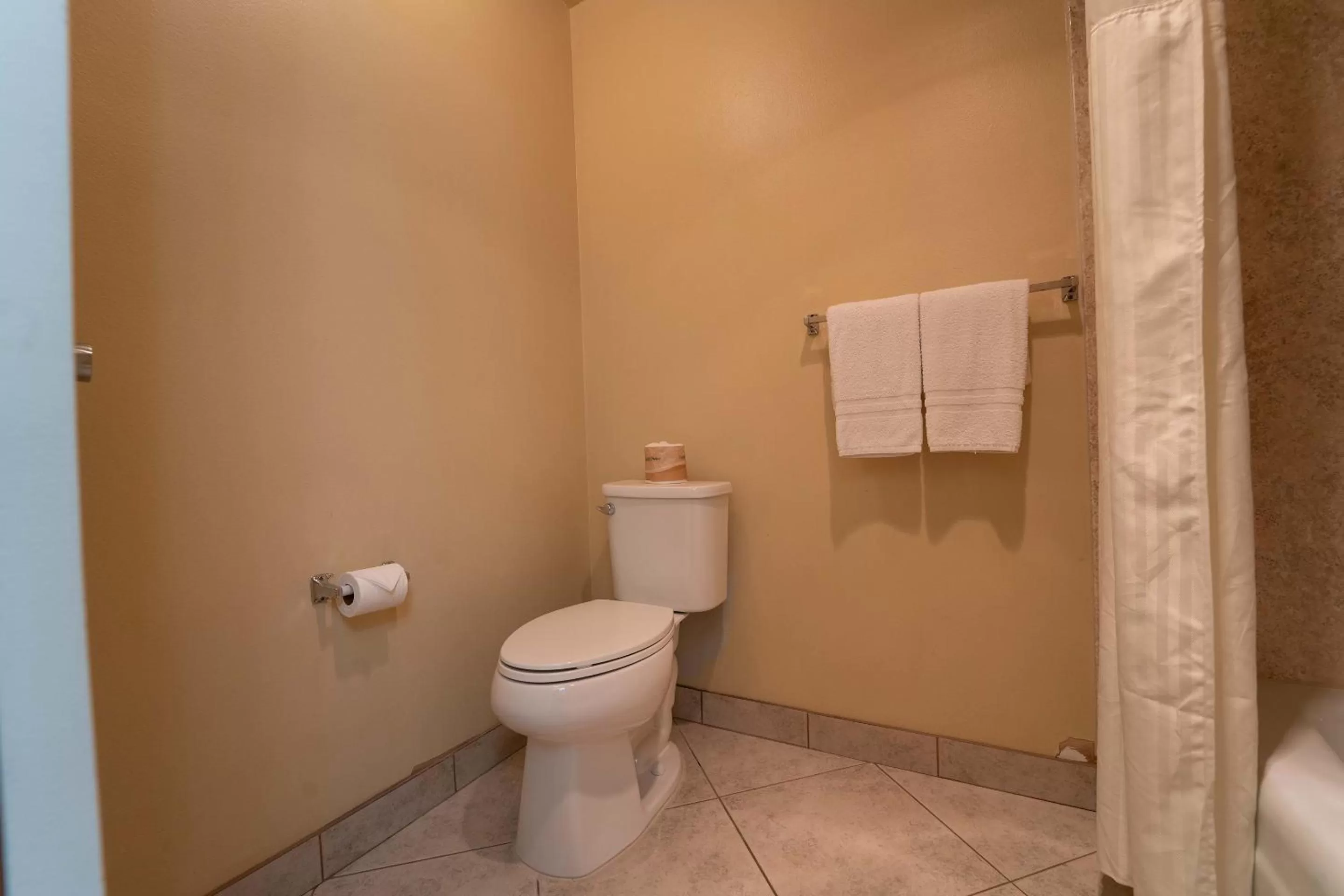 Bathroom in Royal Plaza Inn