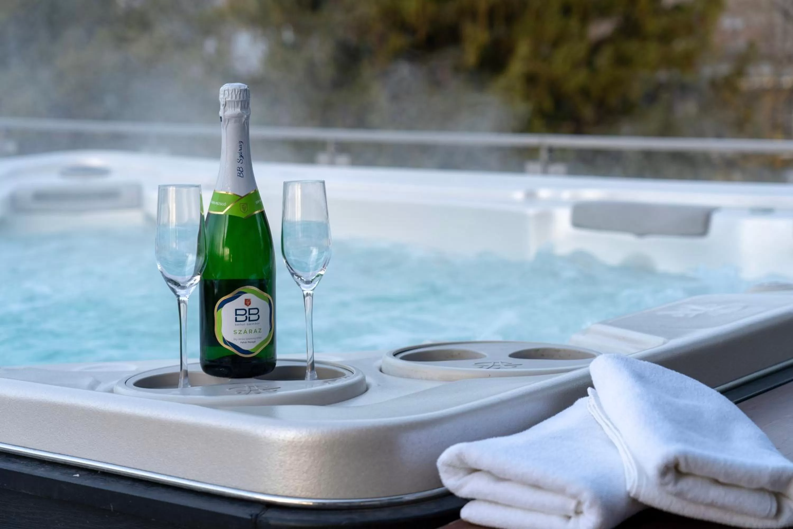 Swimming pool in Zamárdi TOK