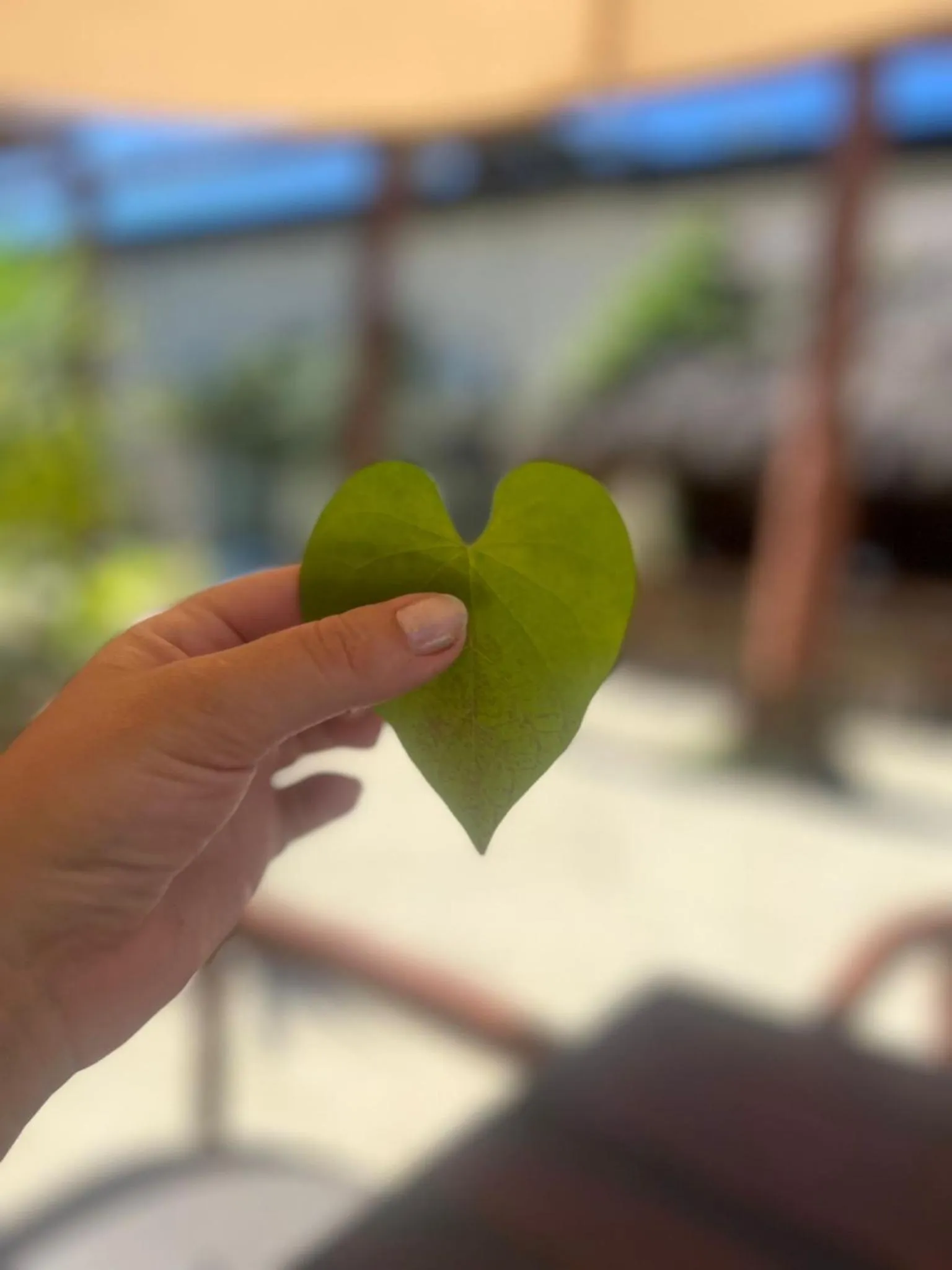 Day in Lucky Traveler Hostel