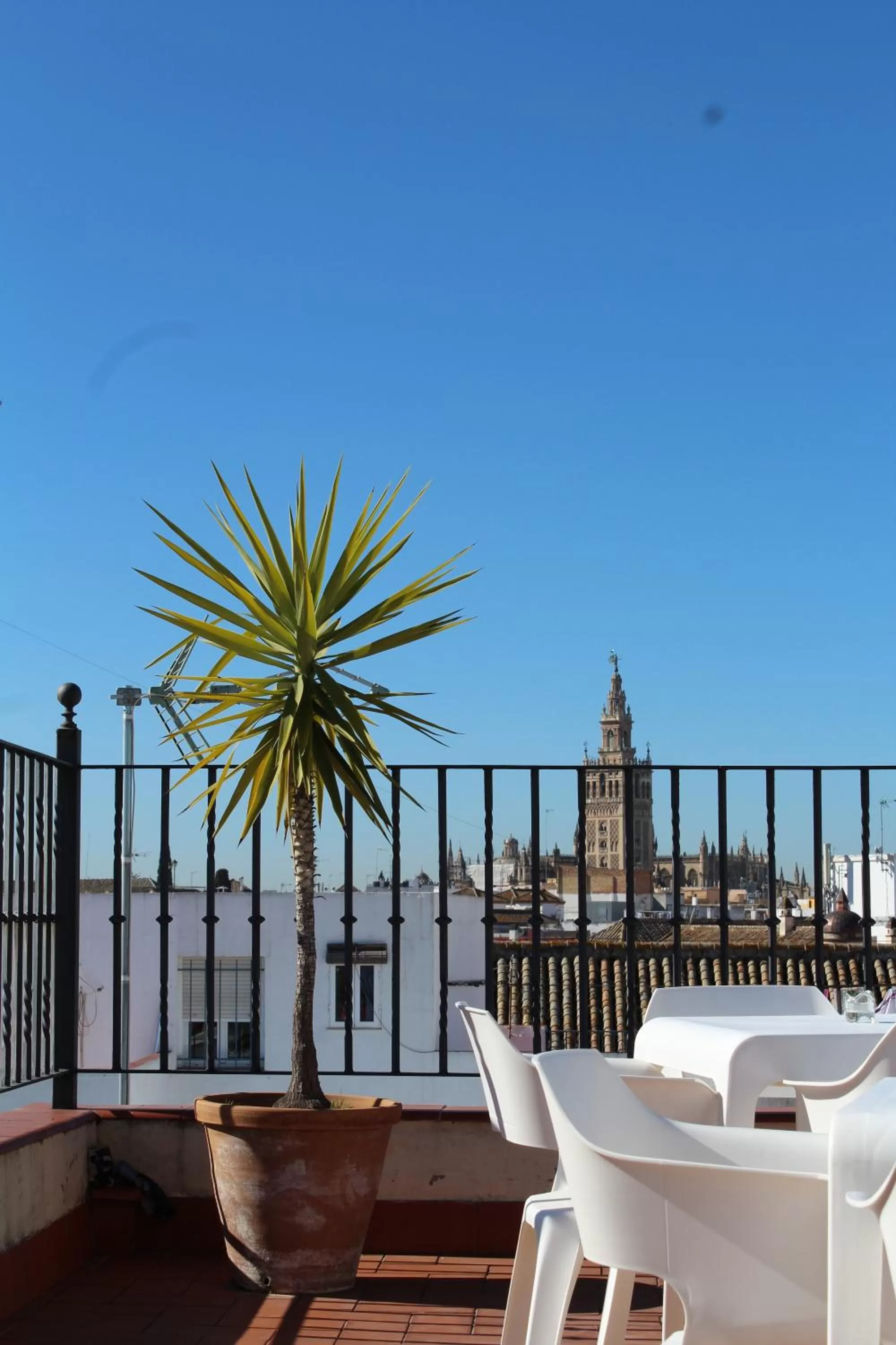 Balcony/Terrace in Hotel Casa Imperial