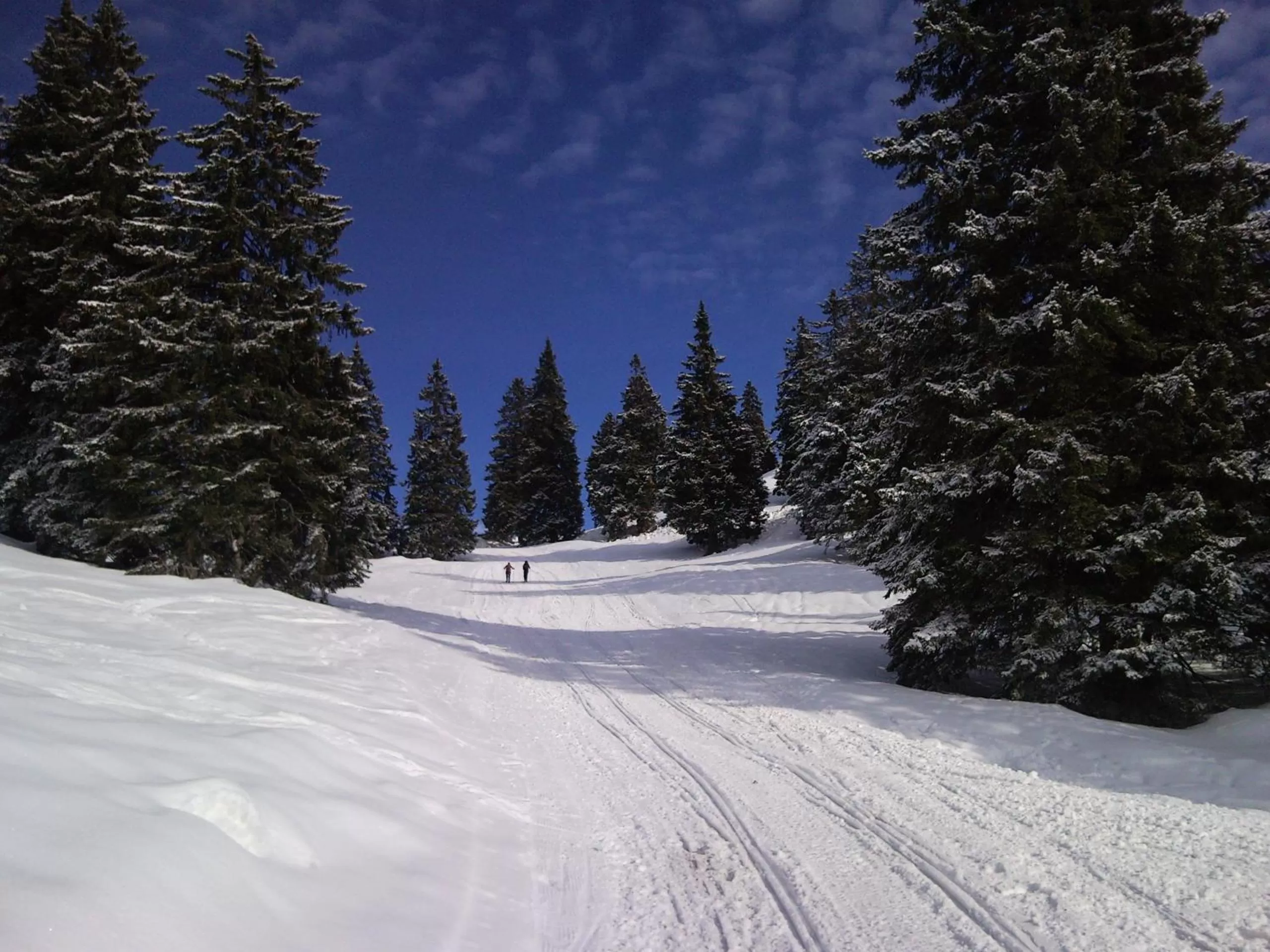 Area and facilities in Rooms & Apartments Jana