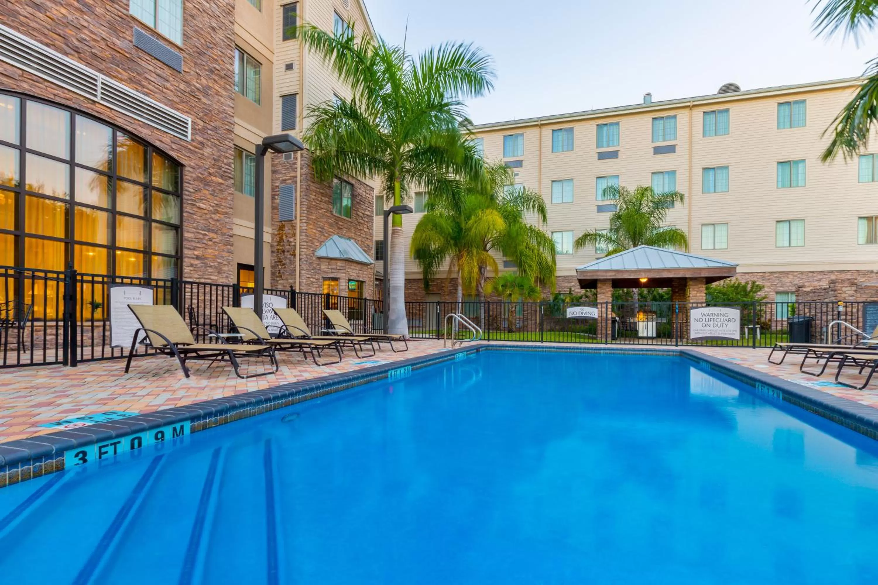 Swimming pool in Staybridge Suites McAllen by IHG