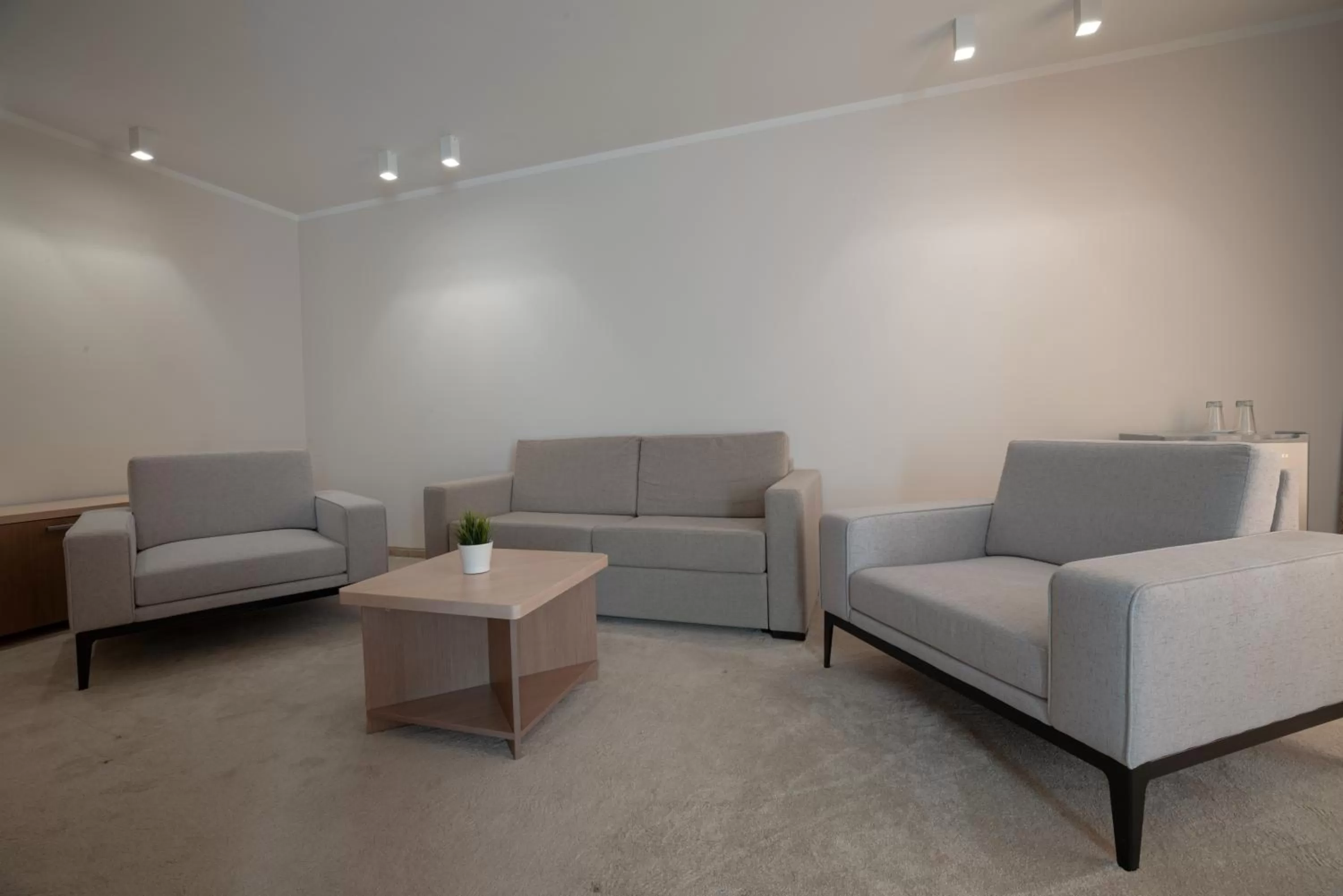 Living room in Vitosha Park Hotel - Free Indoor Pool & Parking