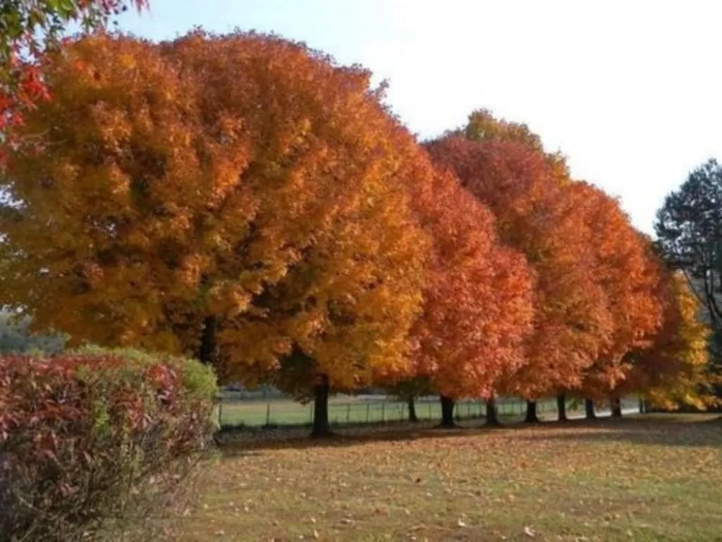 Other in Folkestone Inn