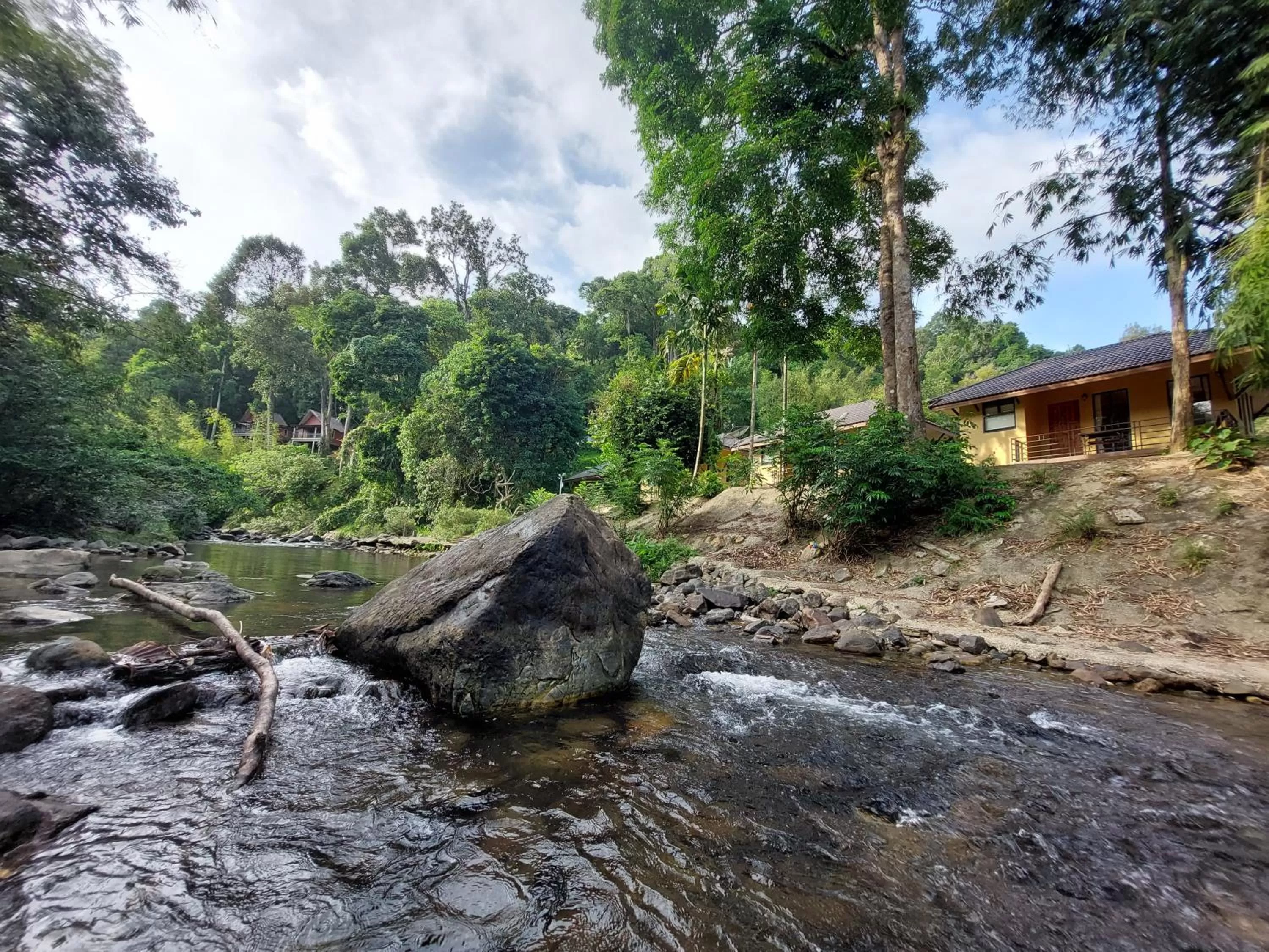 Khaosok Rainforest Resort