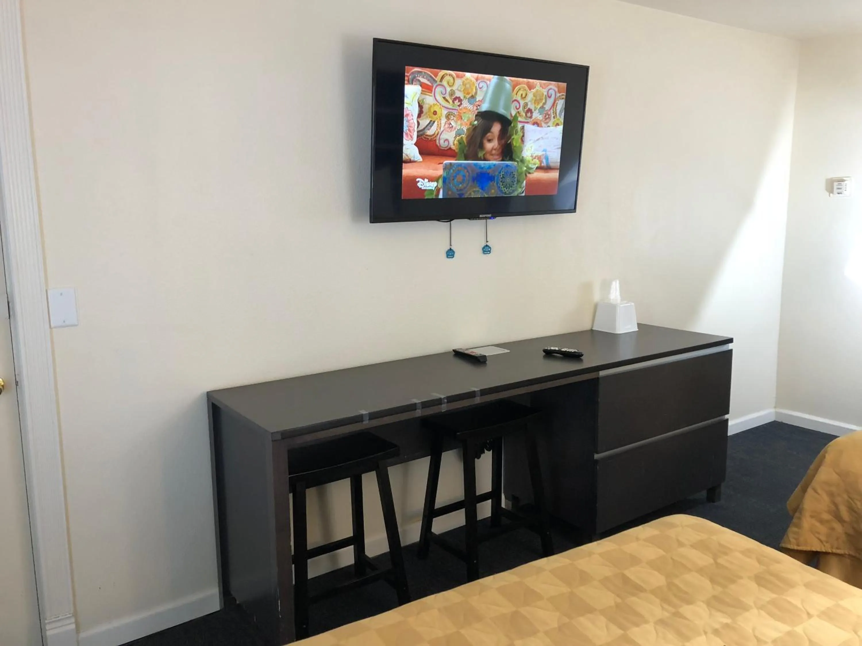 TV and multimedia in Cedar Inn & Suites