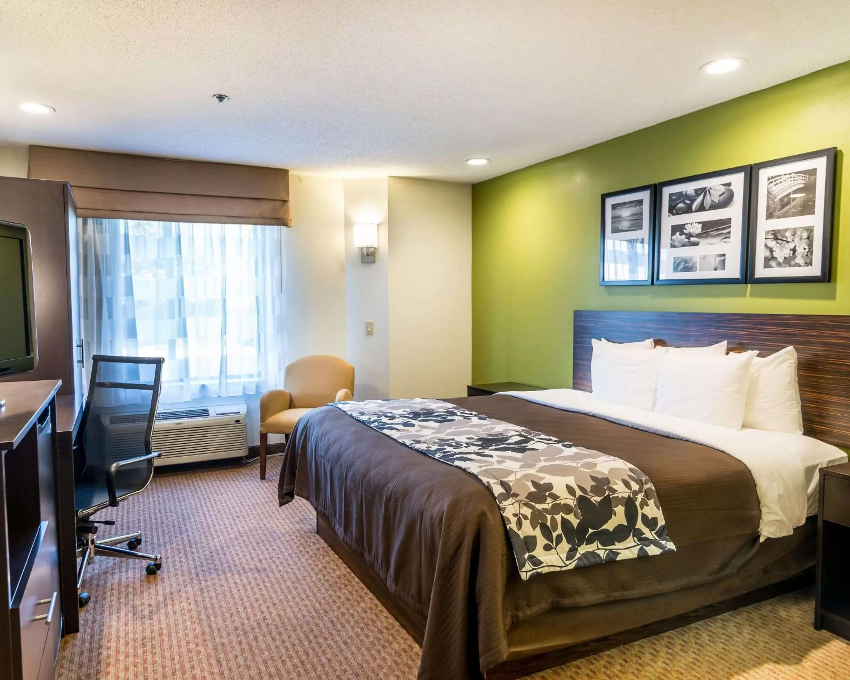 Photo of the whole room, Bed in Sleep Inn Columbia