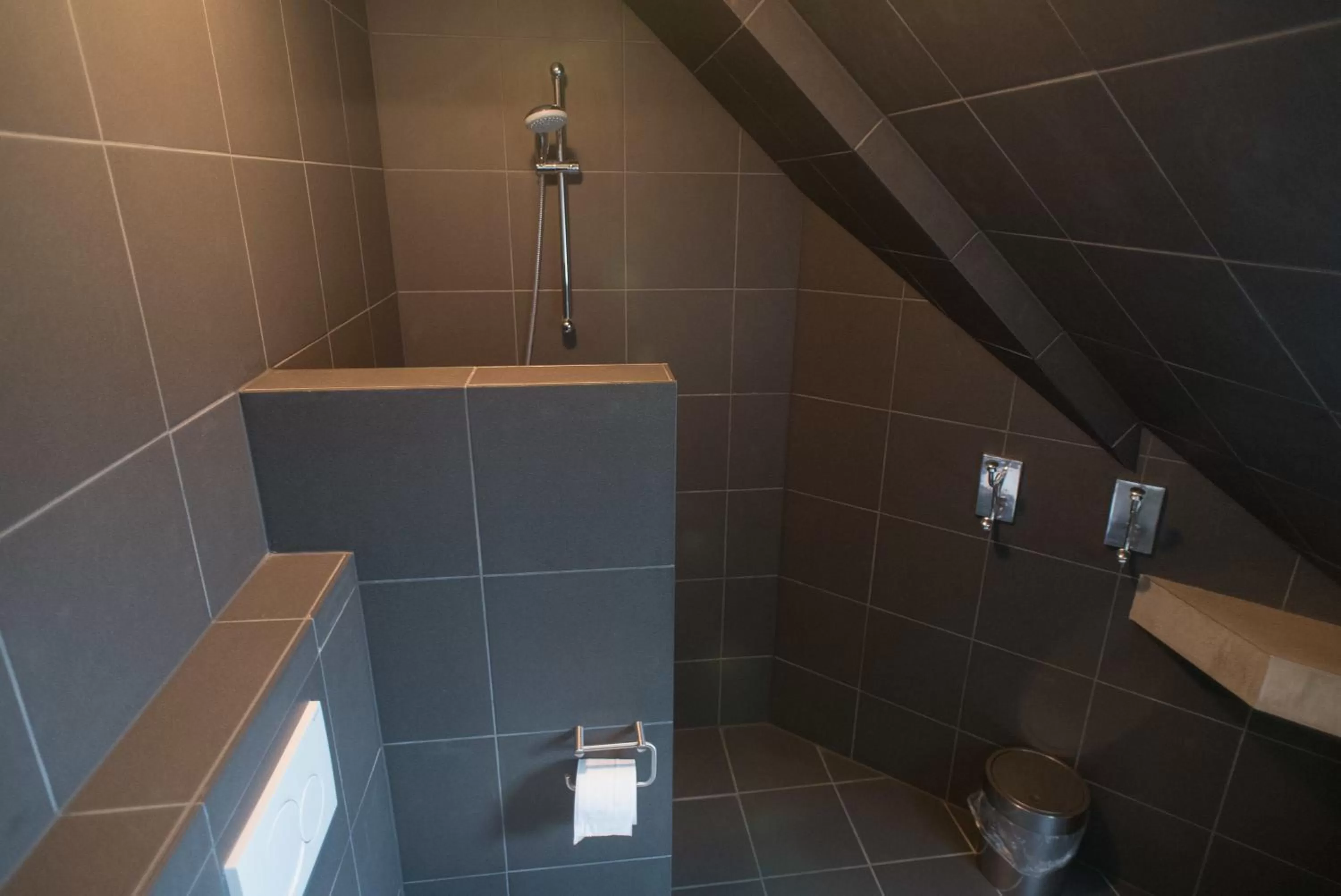 Shower, Bathroom in Hotel Buren