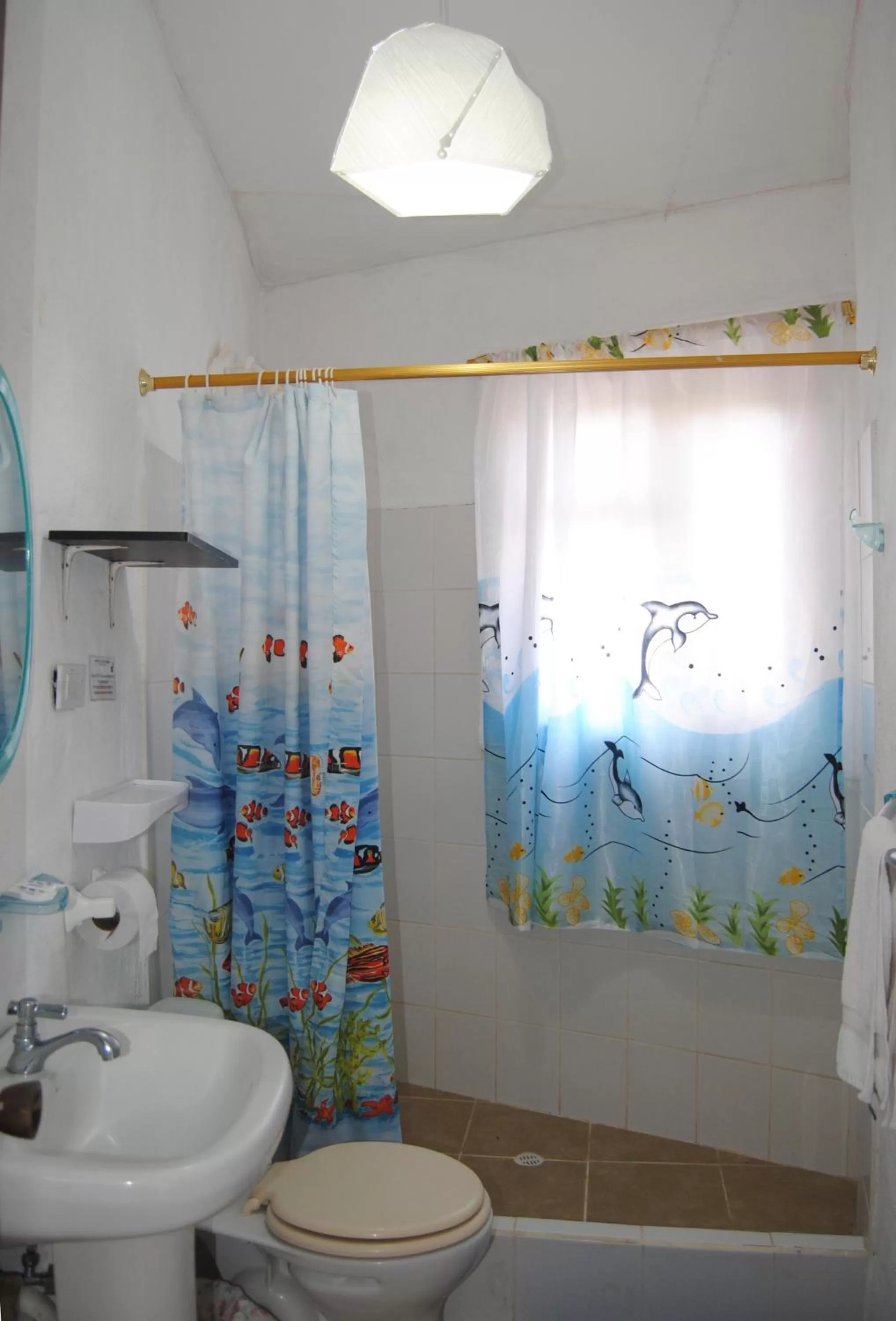Shower, Bathroom in Hostal Galapagos by Bar de Beto