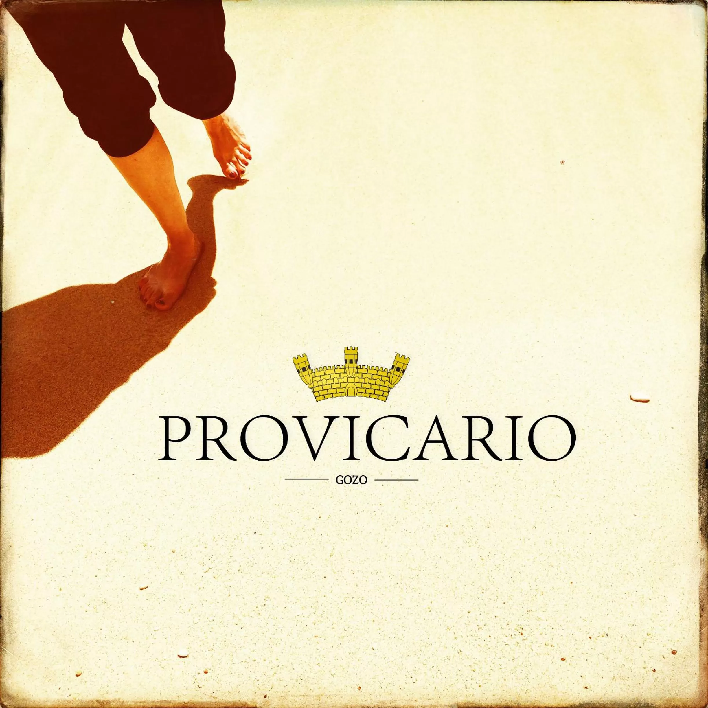 Property logo or sign in Provicario