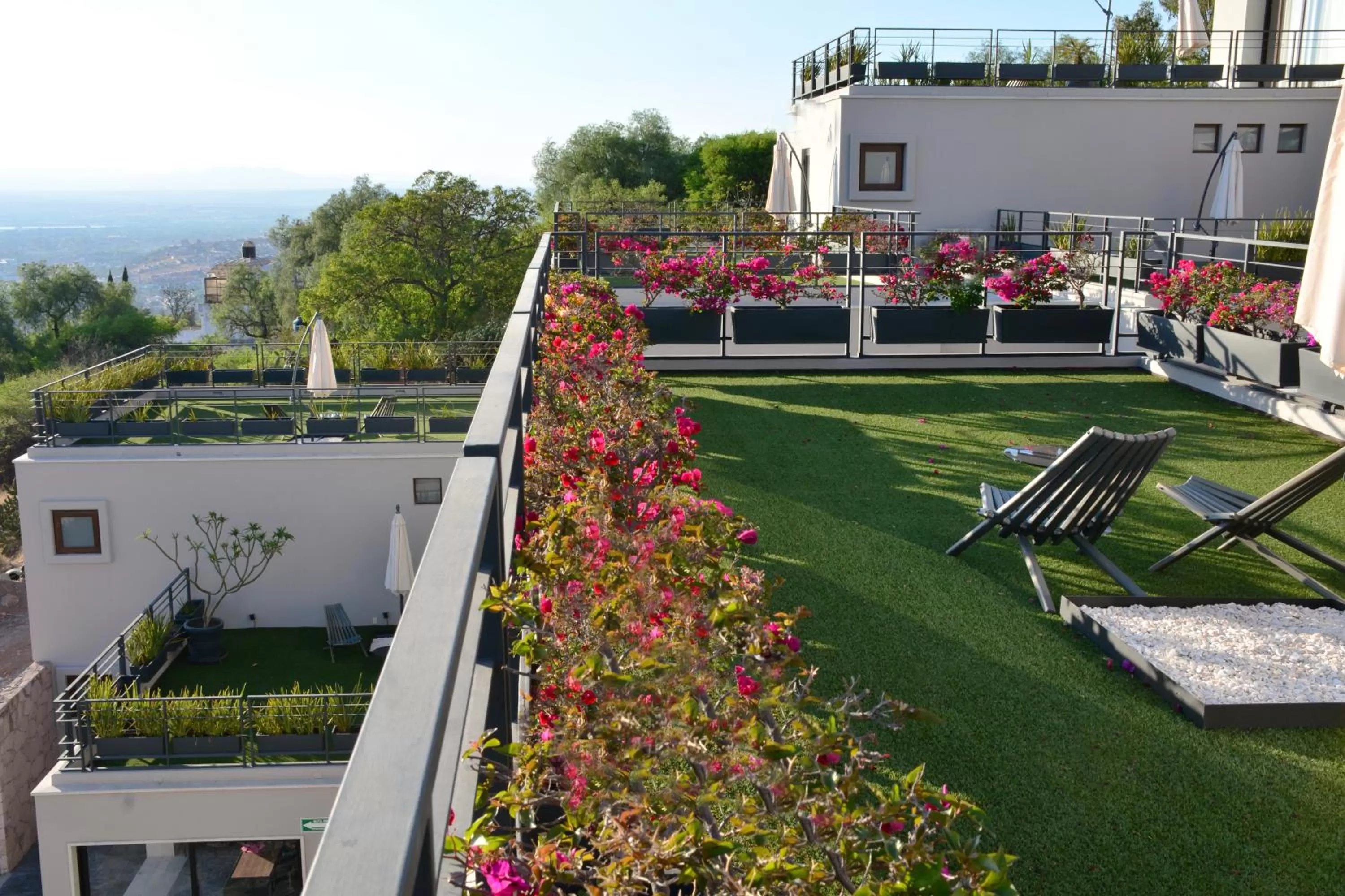 View (from property/room) in Ilo Rojo San Miguel de Allende Curamoria Collection