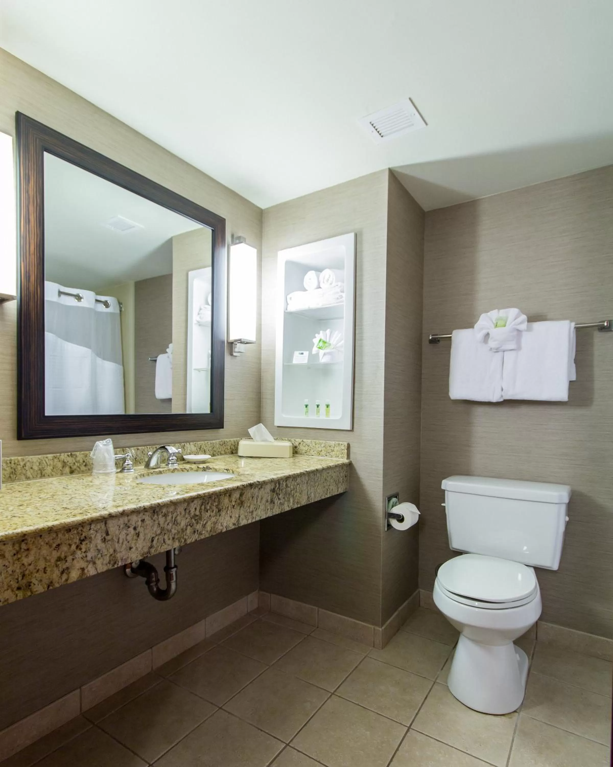 Bathroom in Holiday Inn Express Hotel & Suites Auburn by IHG