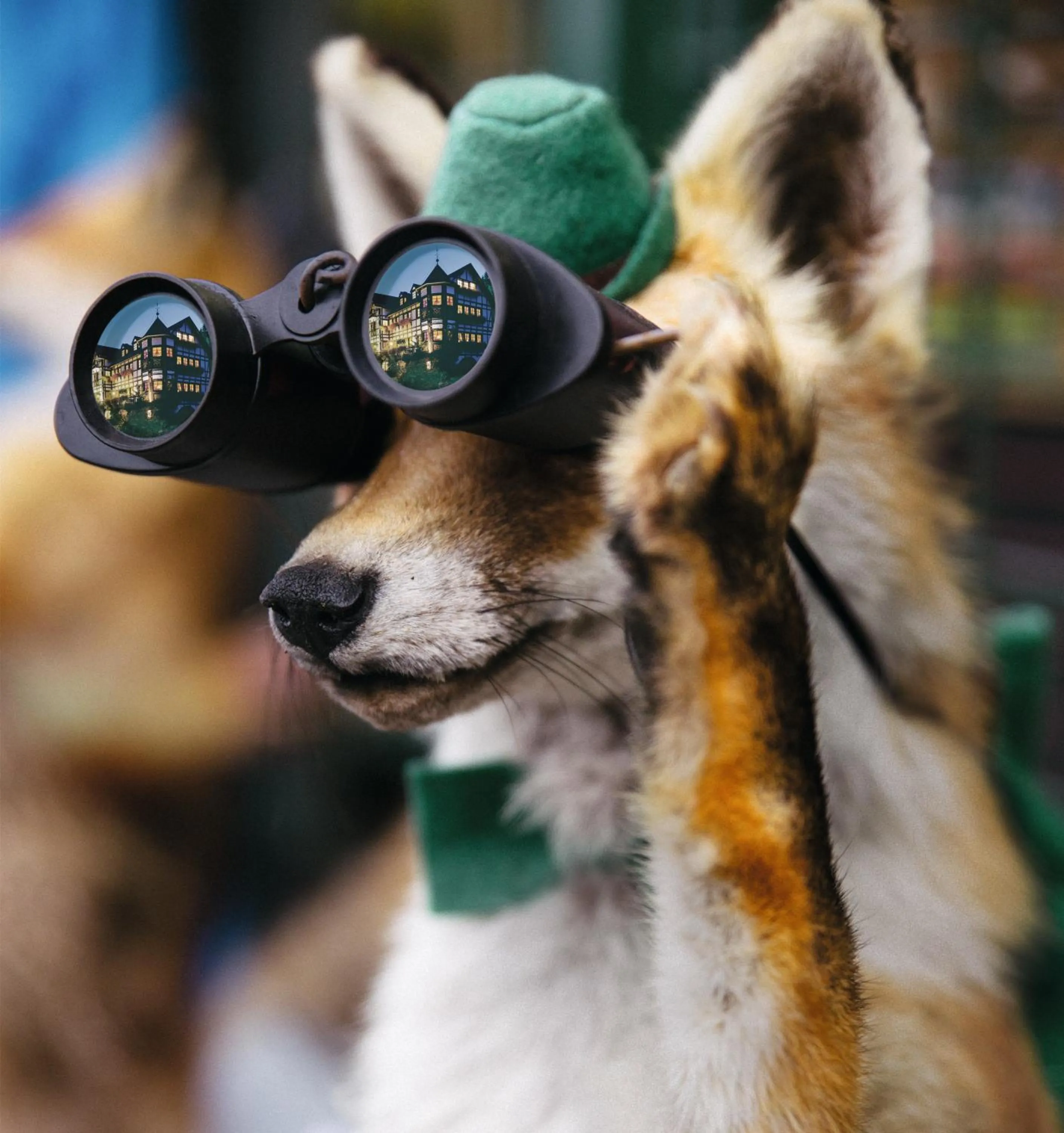 Animals in Relais & Châteaux Jagdhof Glashütte